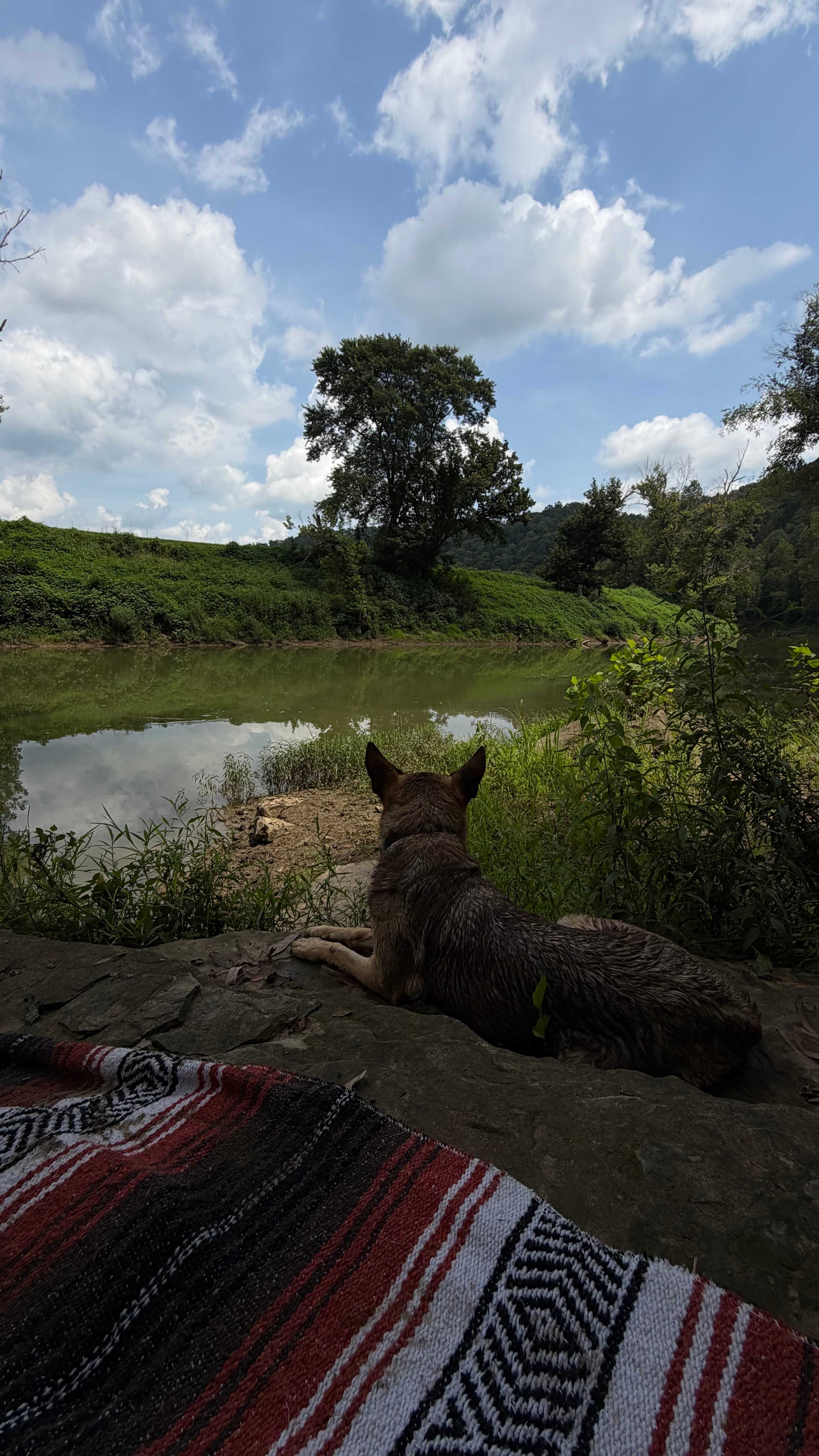 Hidden Bend on the KY River