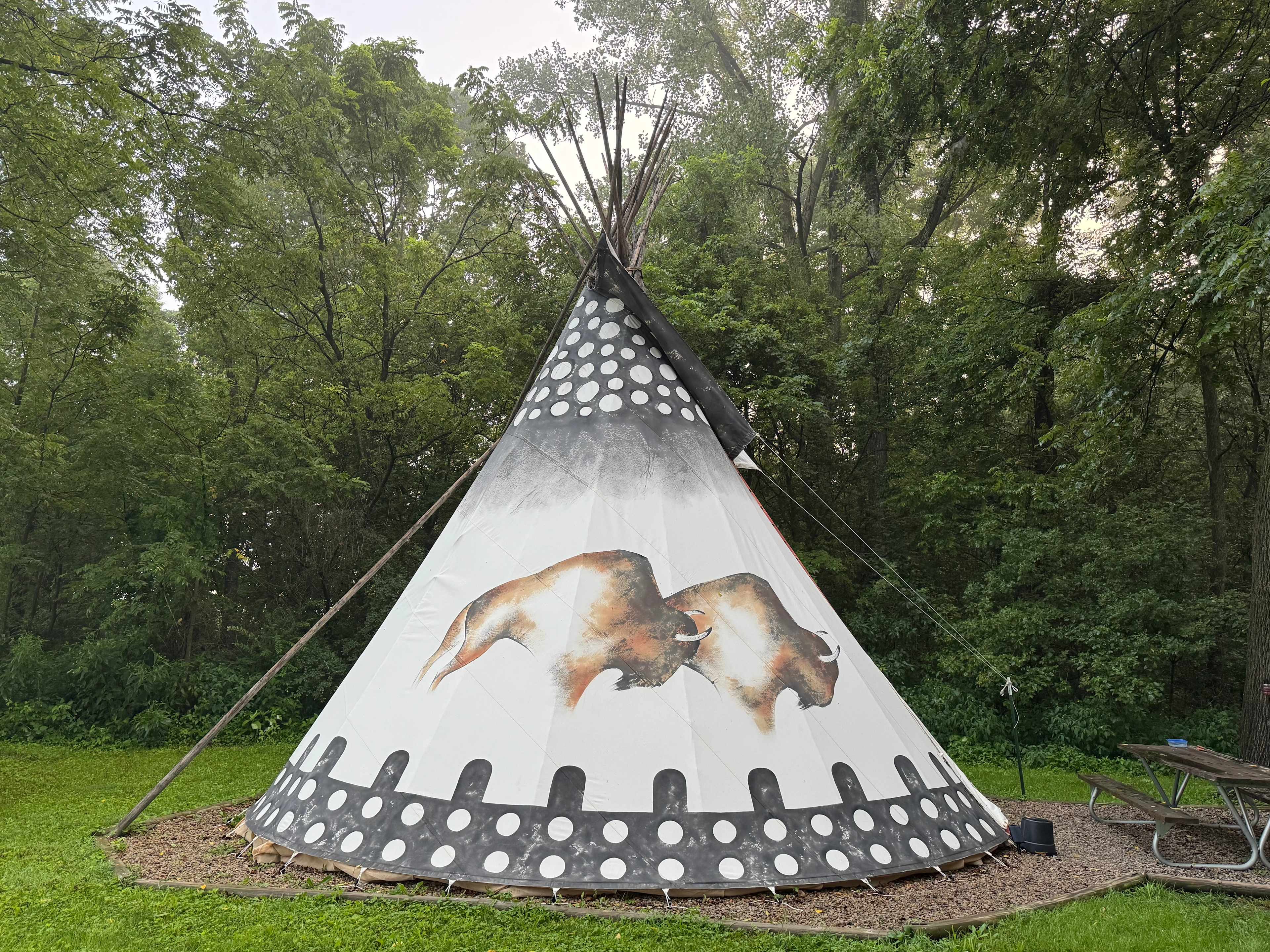 Cherokee Valley Bison Ranch Creekside Retreat