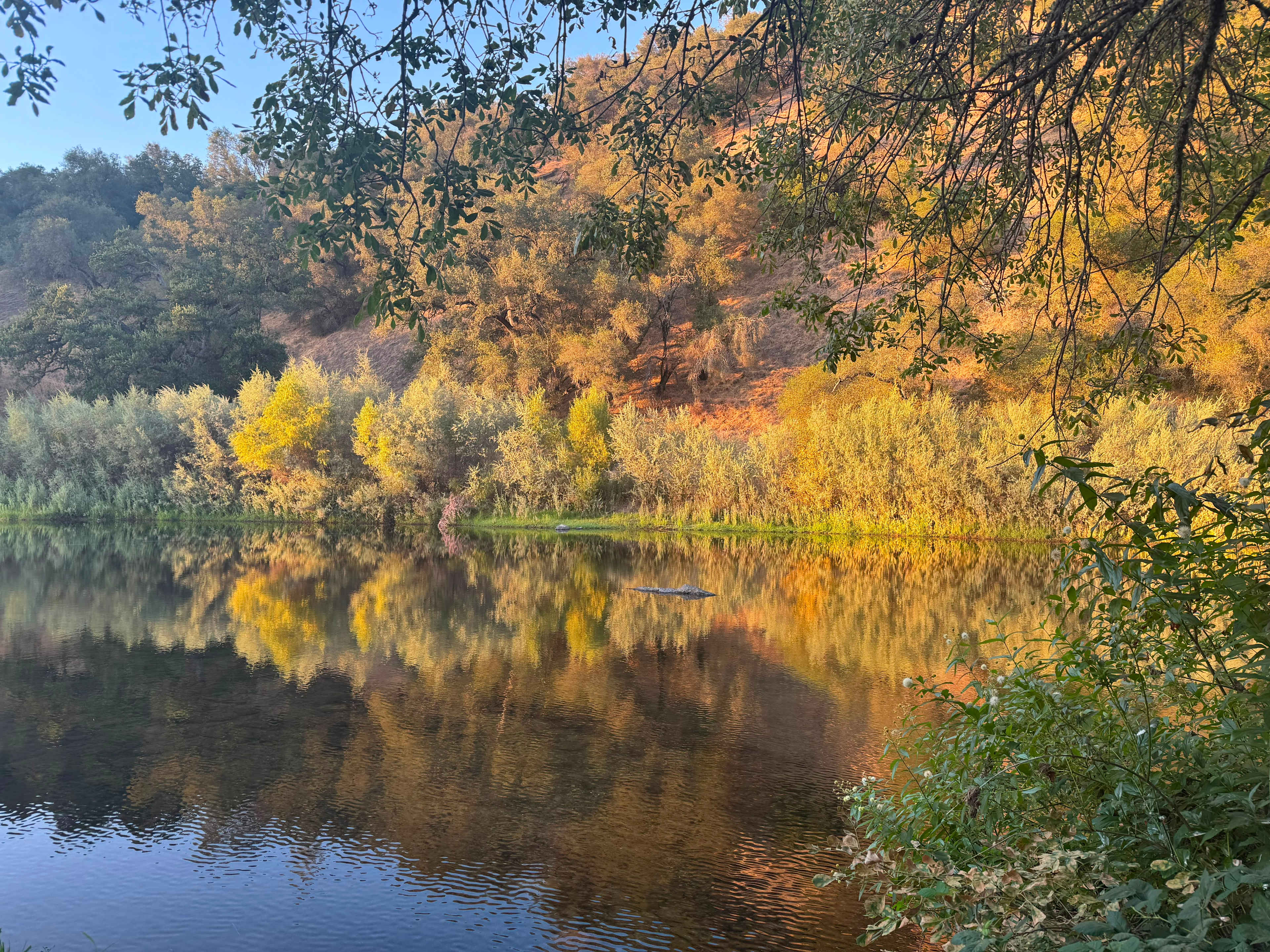 Cosumnes River Ranch