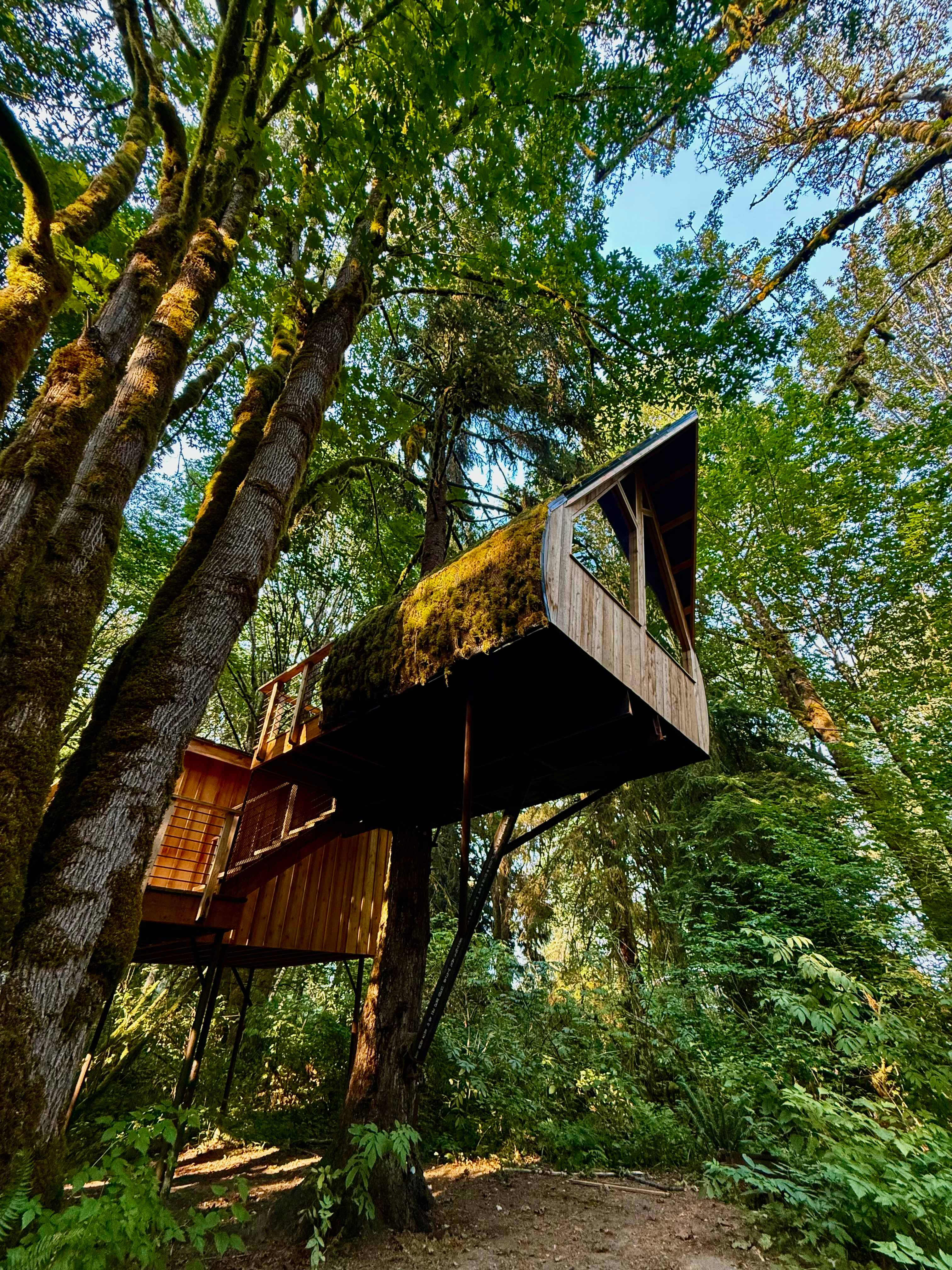 Samara Farm Treehouses