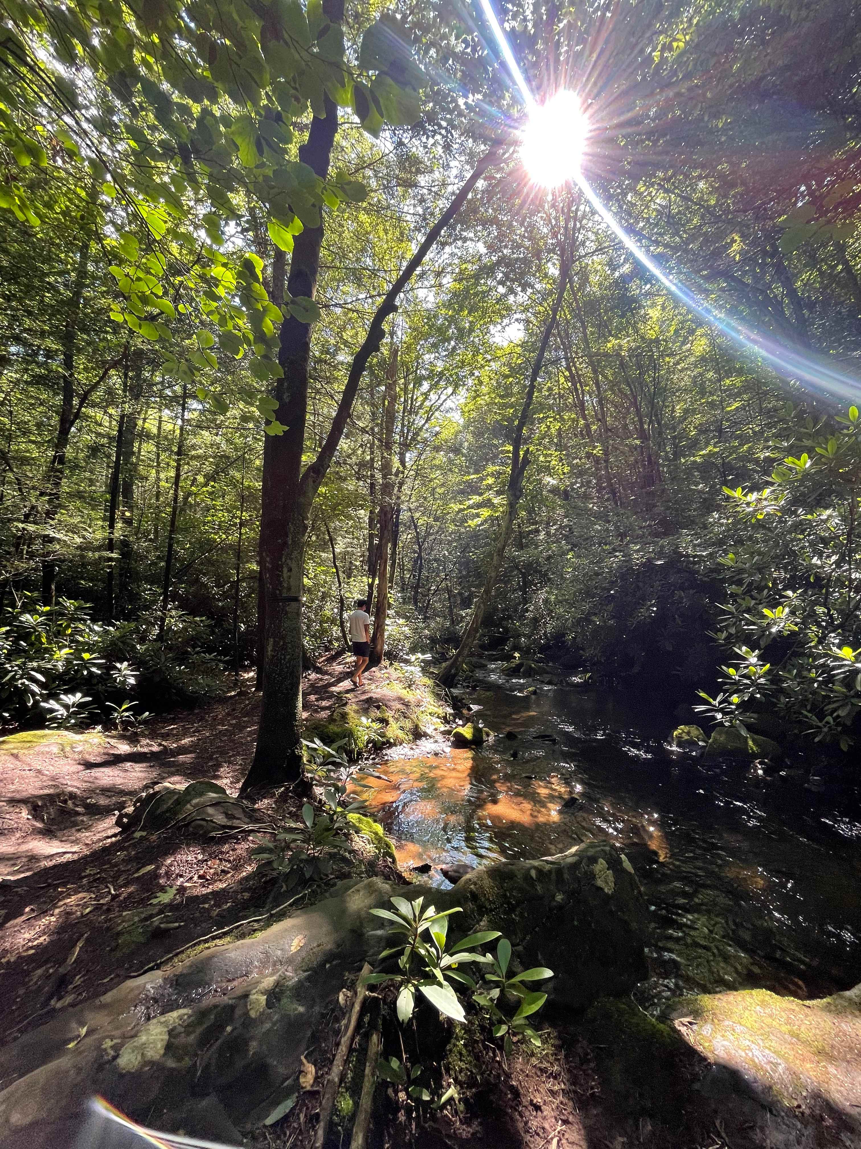 Camp Dietrich on Bear Creek