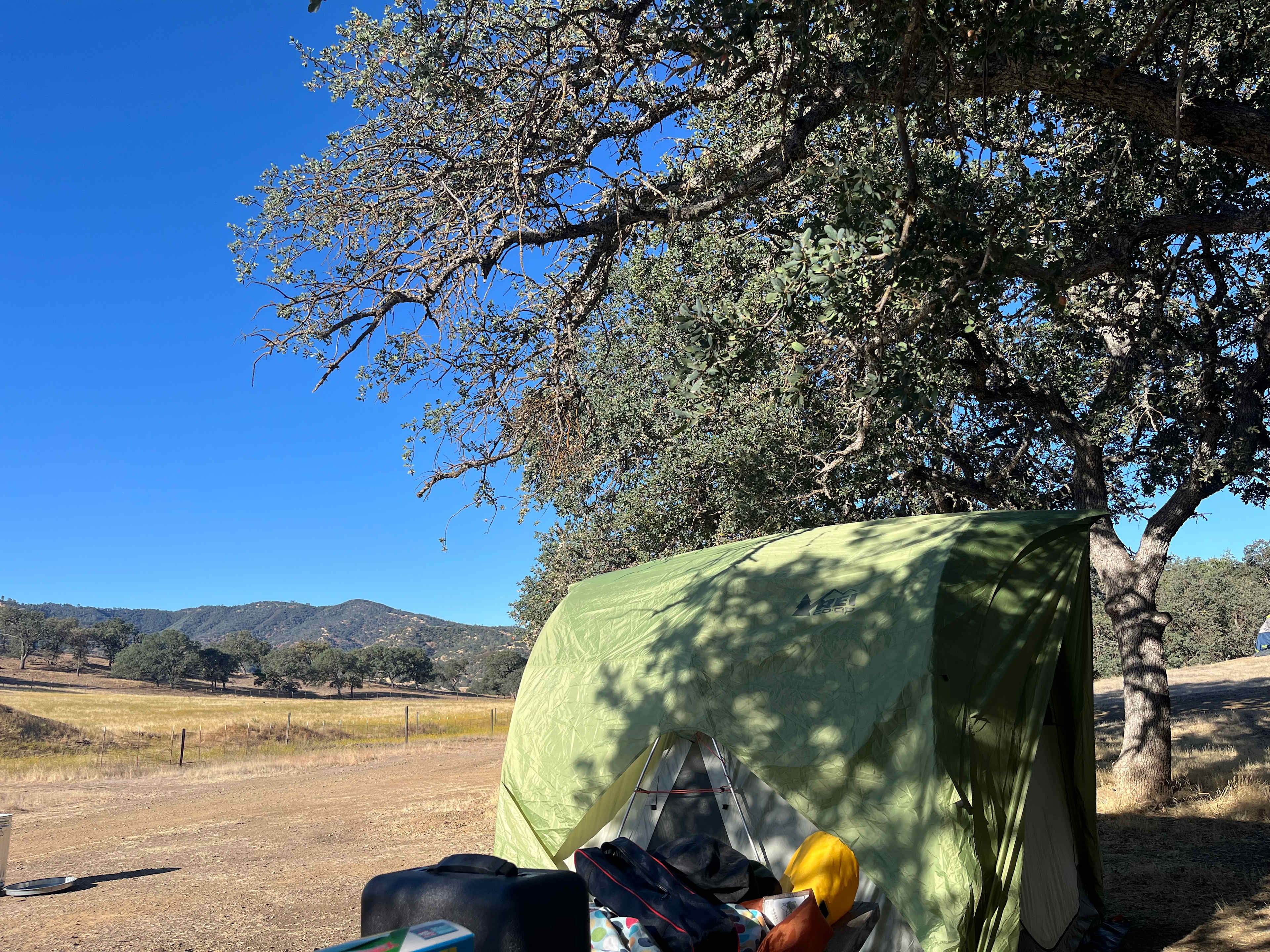 Oaks provide a little shade, open field allows for night sky viewing! 