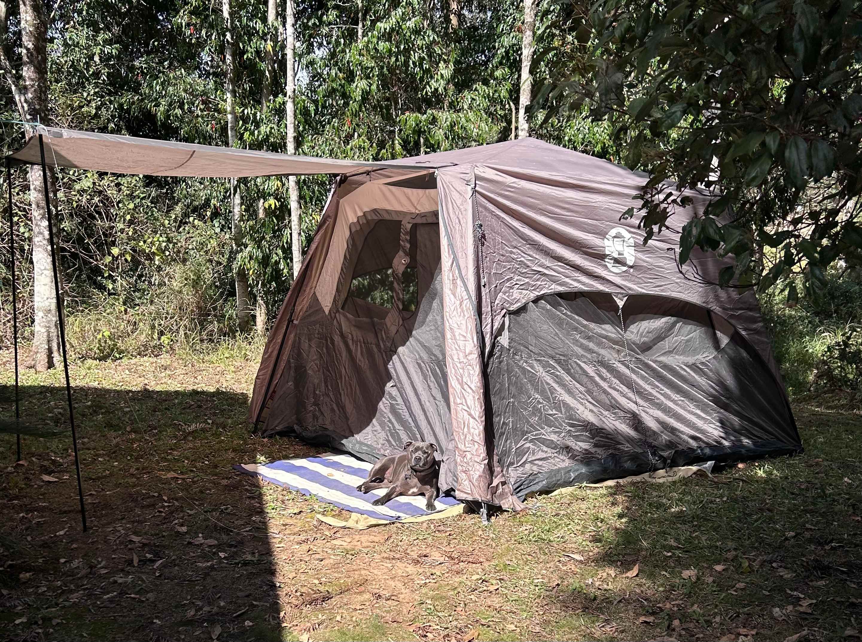 Cahoola Cabins and Camping