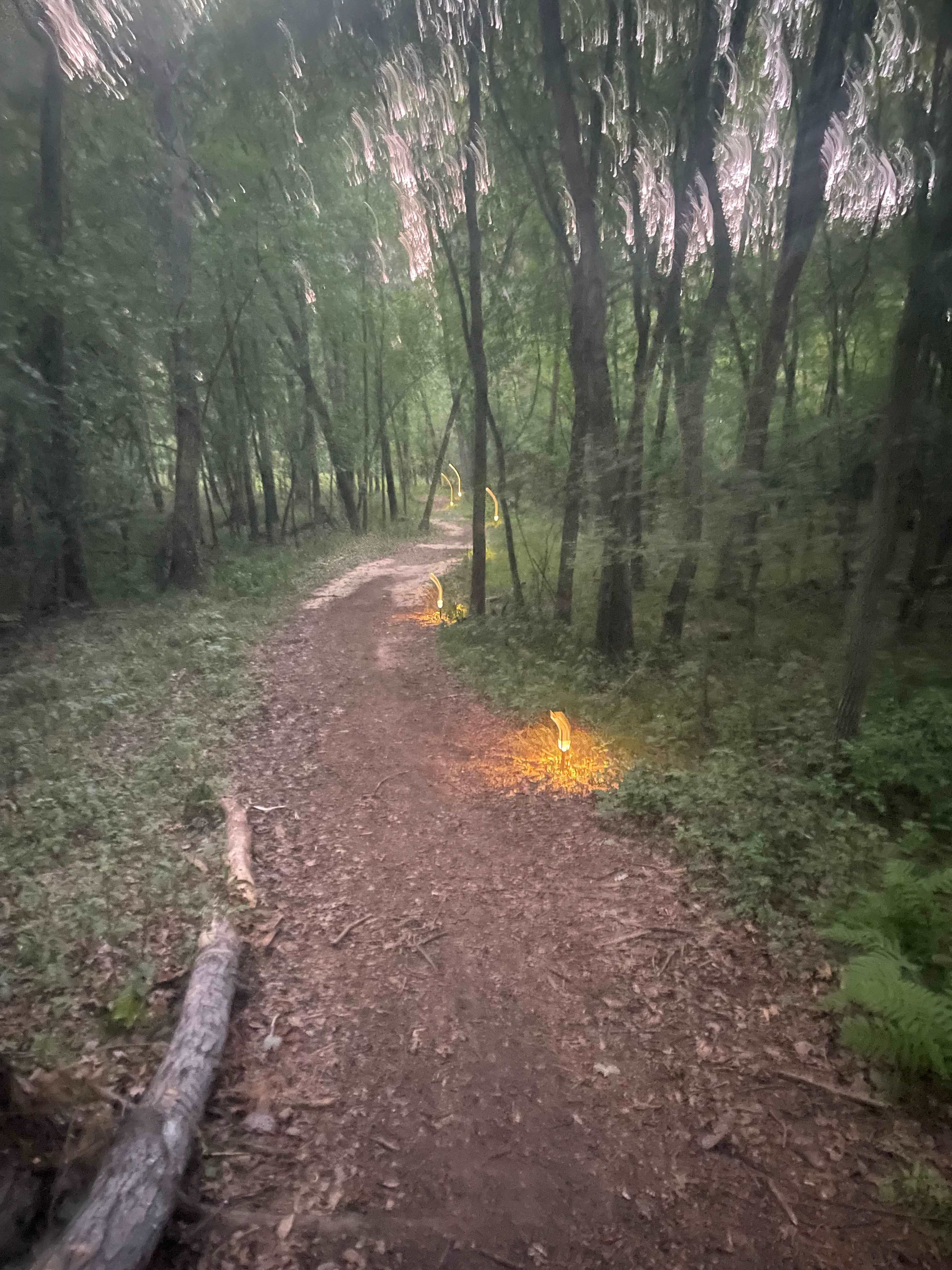 Lite Path to the campsite