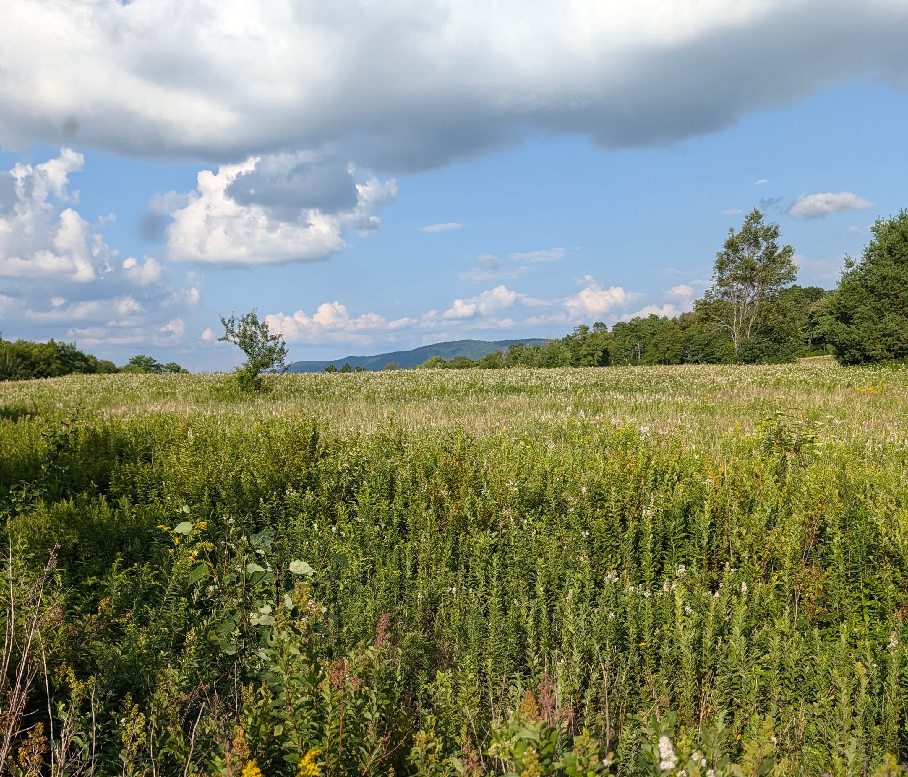 Grateful Acres Vermont