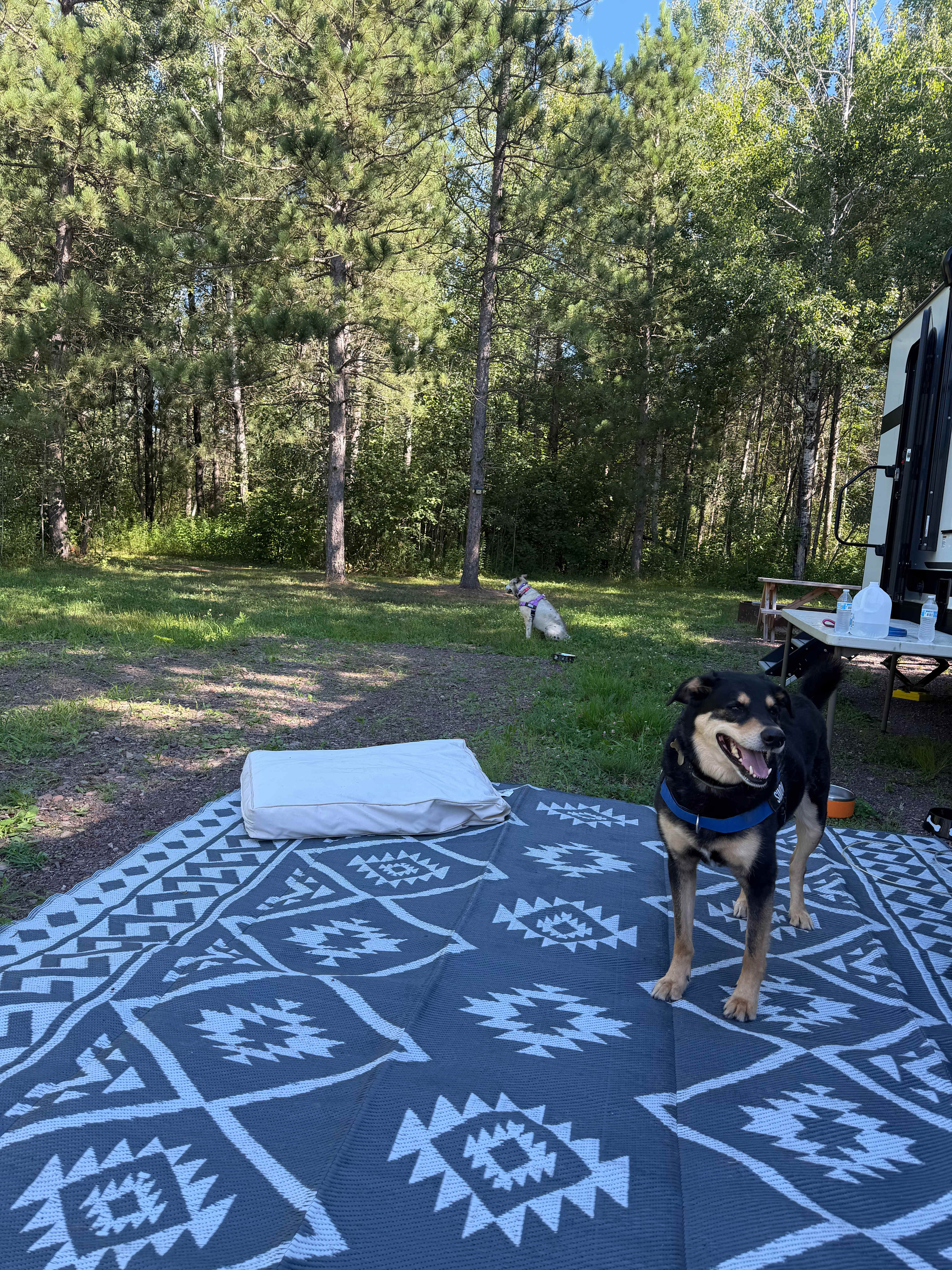 Moosehorn Campground