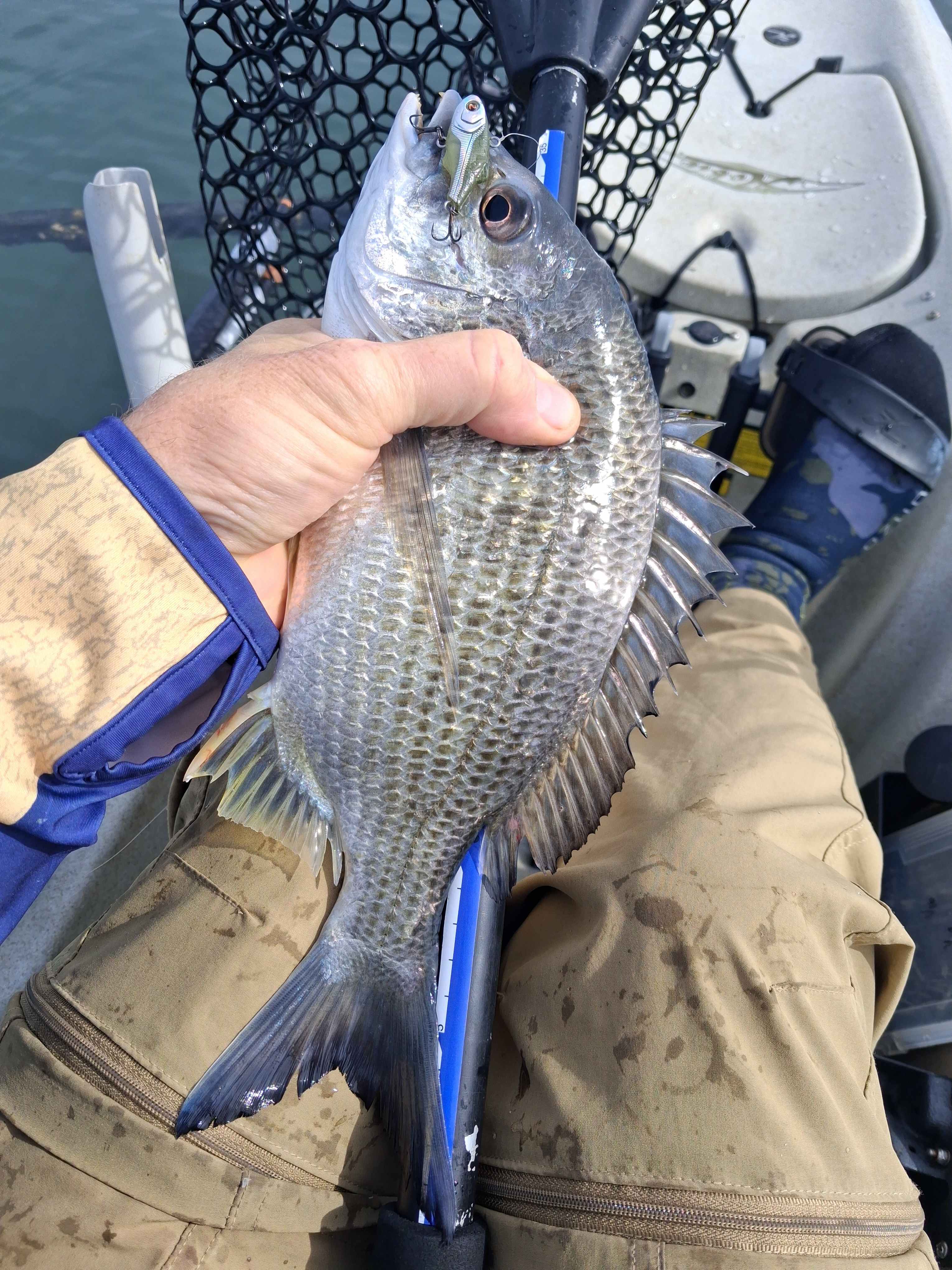 Minimbah Fishing Lodge River Camp