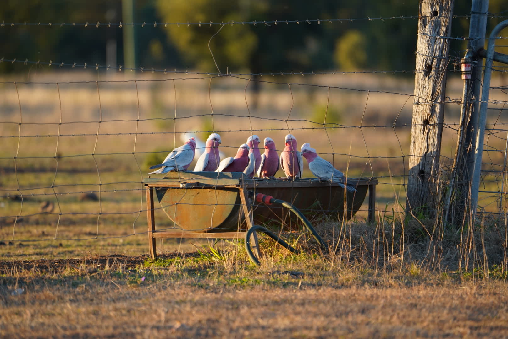 Waverley Historical Homestead