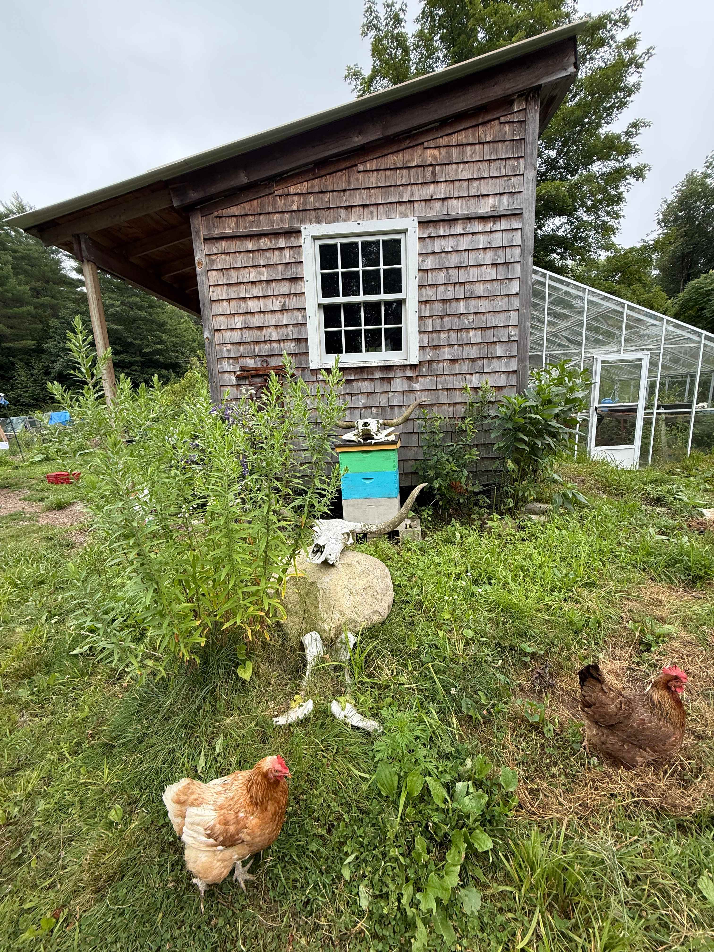Tir na nOg Farm