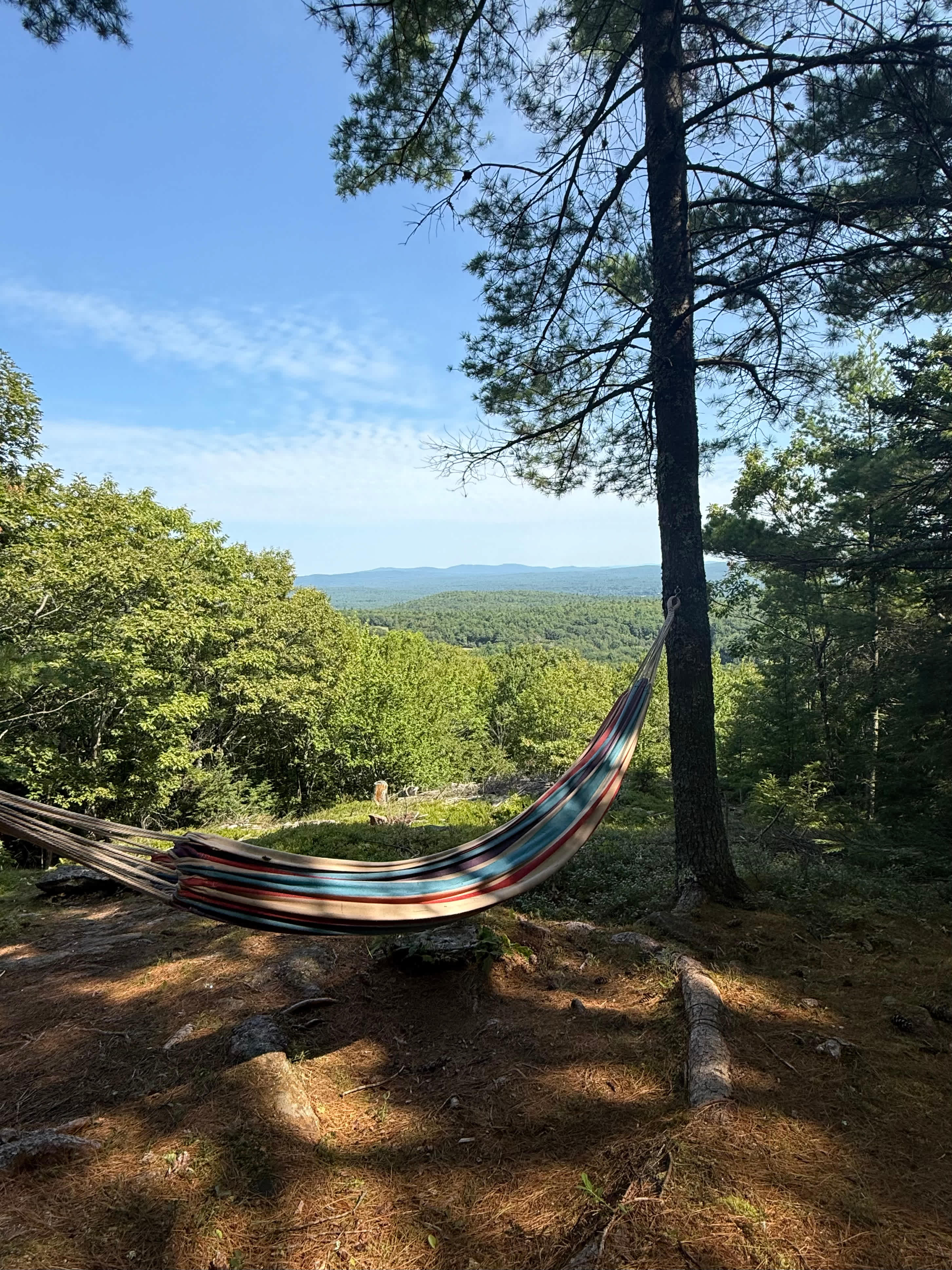 Hussey Mountain Tree Farm