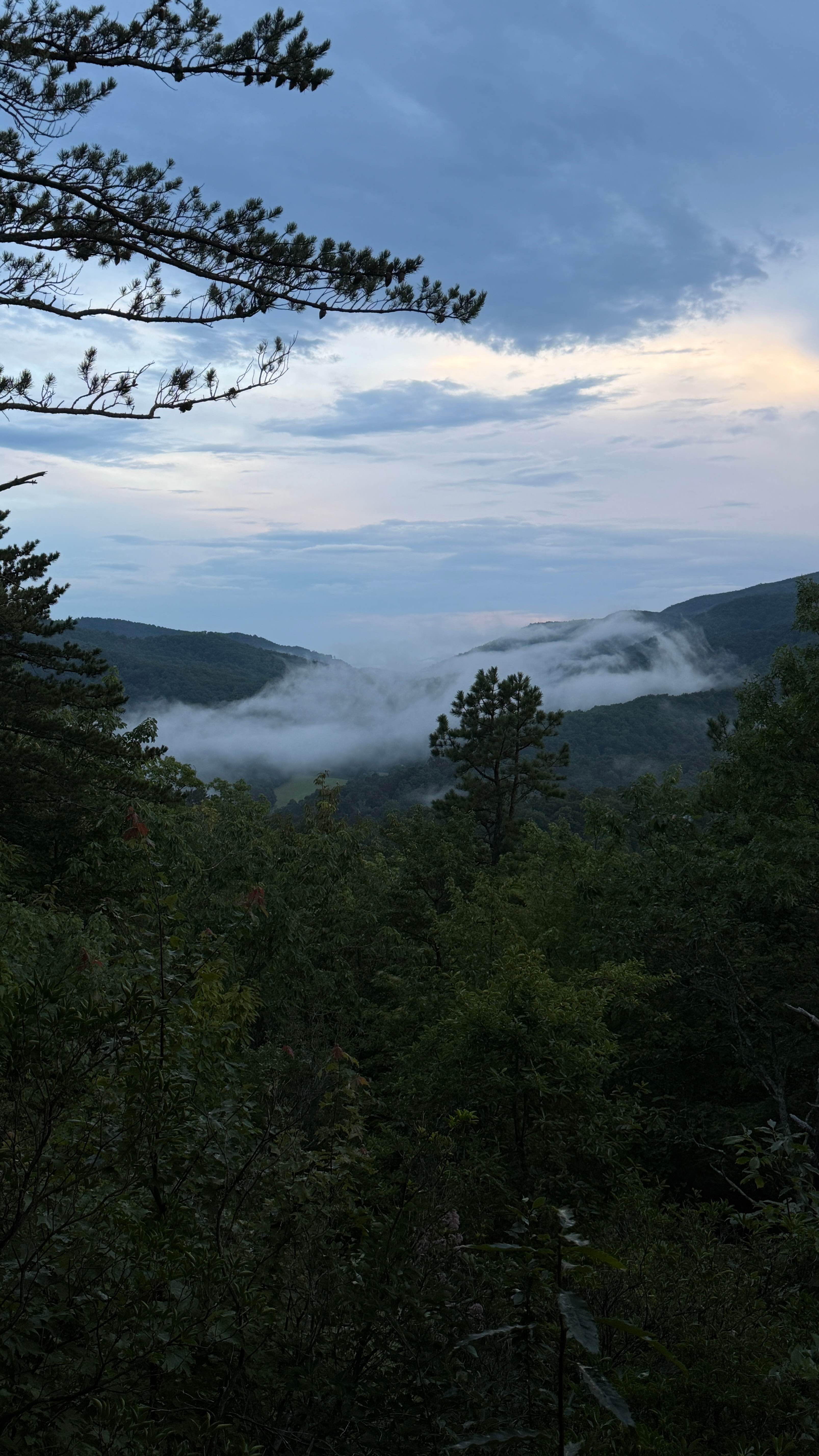 Above the Fray Glamping, Black Mtn.