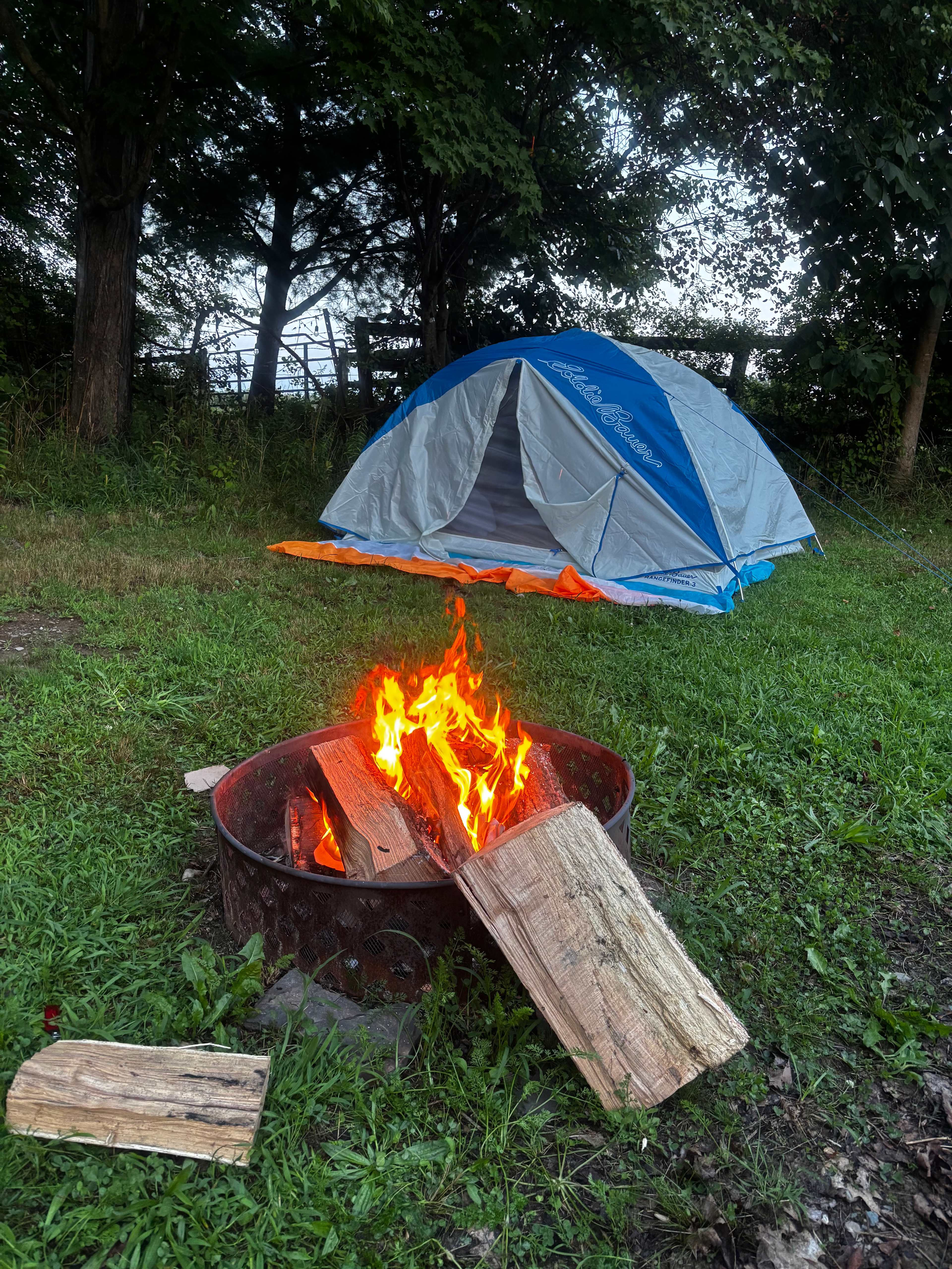 Dharma Bums Eco Lodge