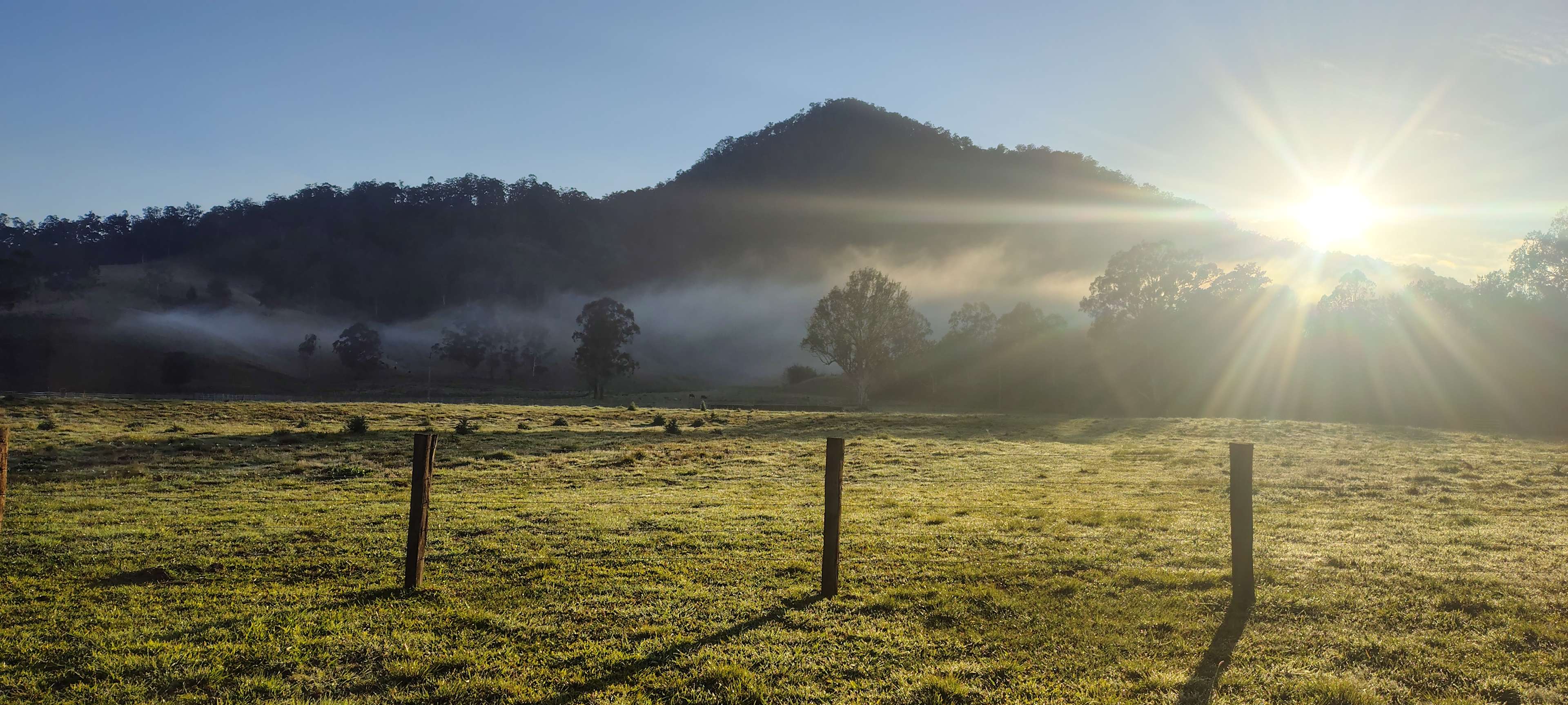Border Ranges Pastoral