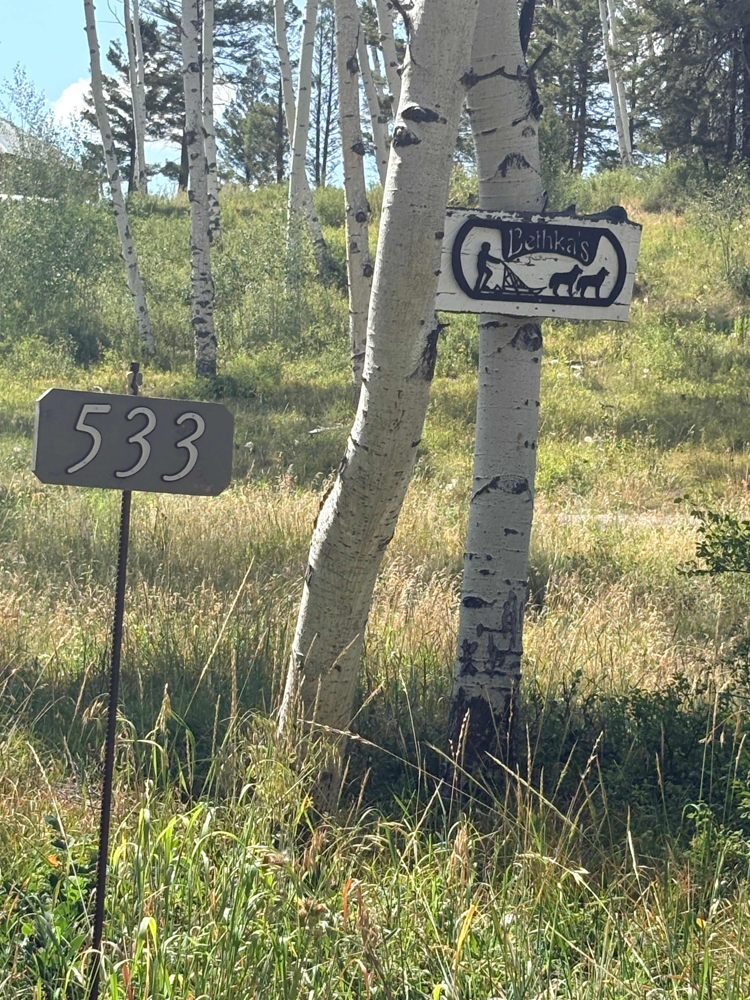 Picture of the site