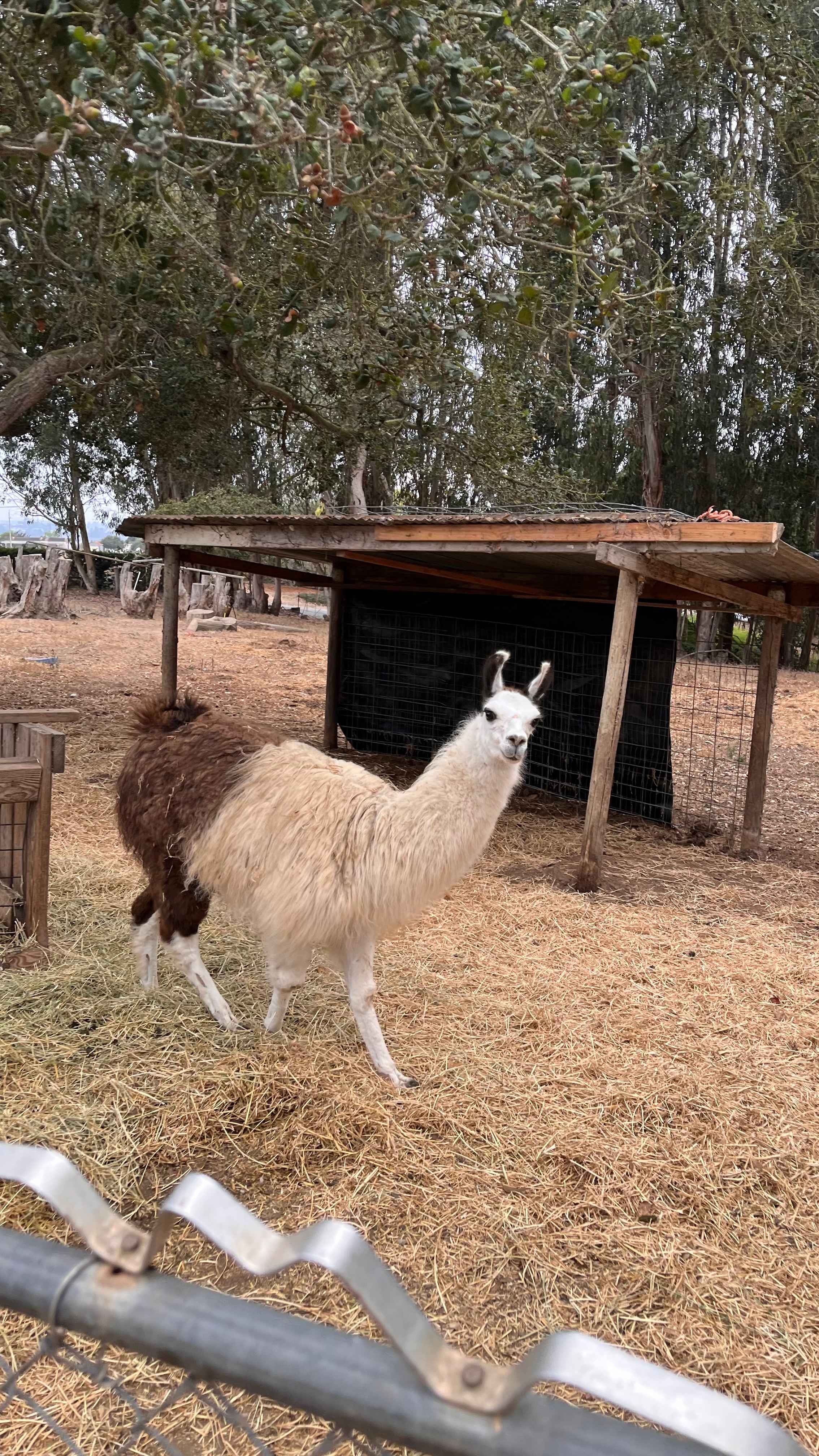 Elkhorn Ranch