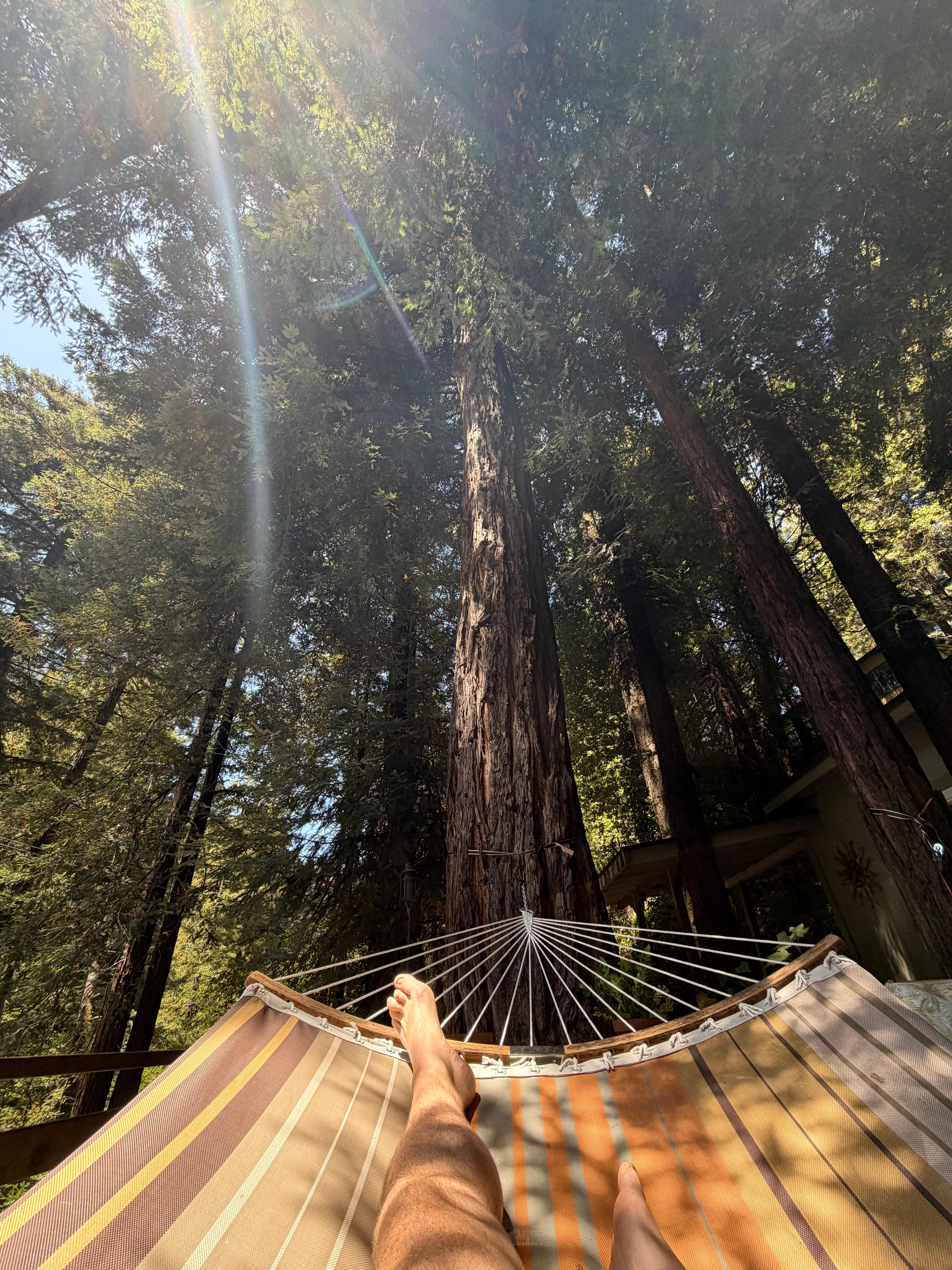 Perfect place for a big novel