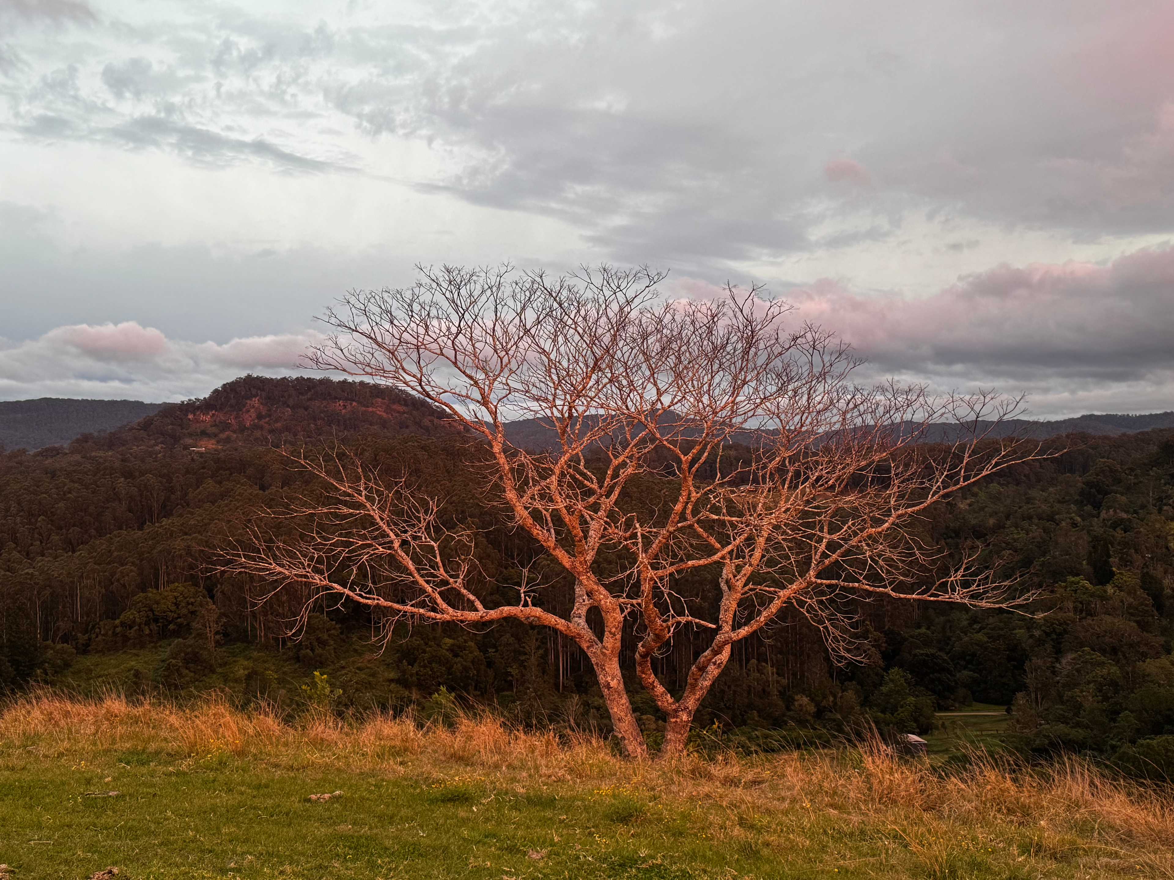 Oakey Ridge