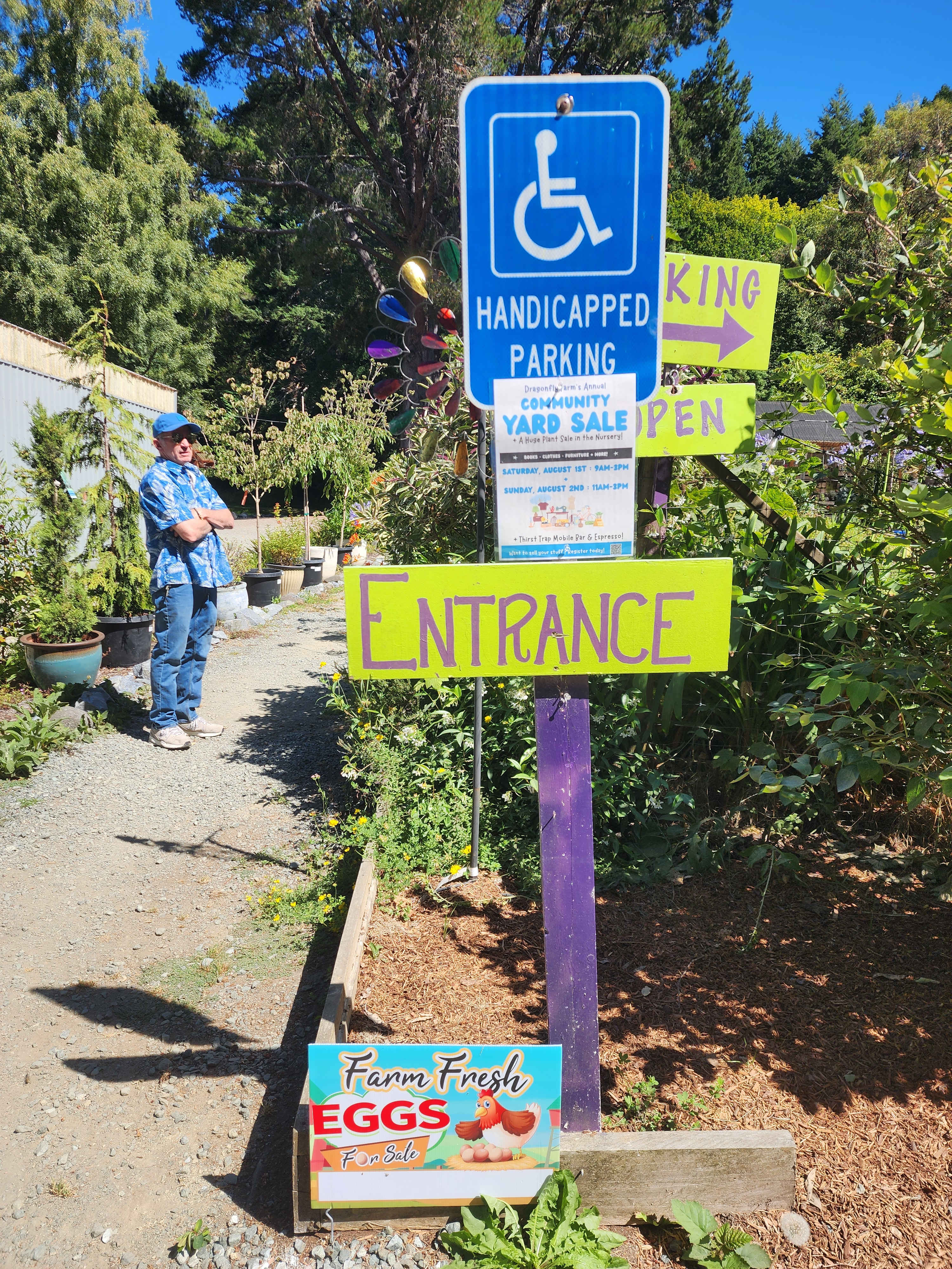 Dragonfly nursery is a lovely space to visit too!