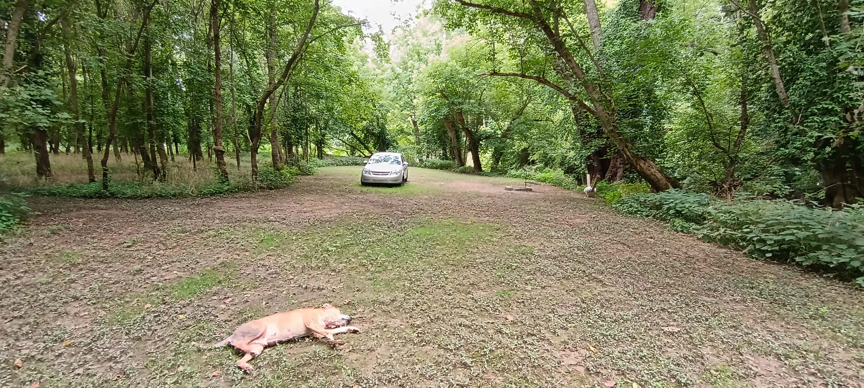 Our camp site