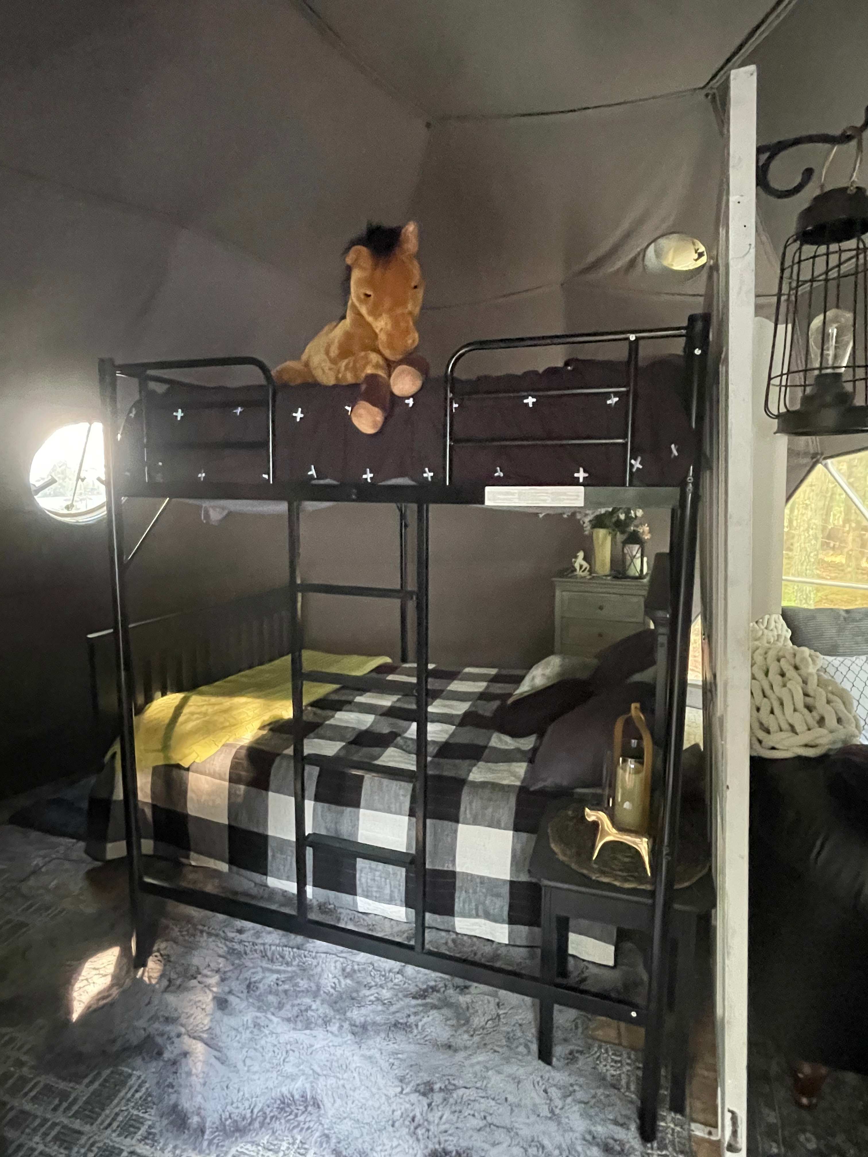 Glamping with the Wild Horses