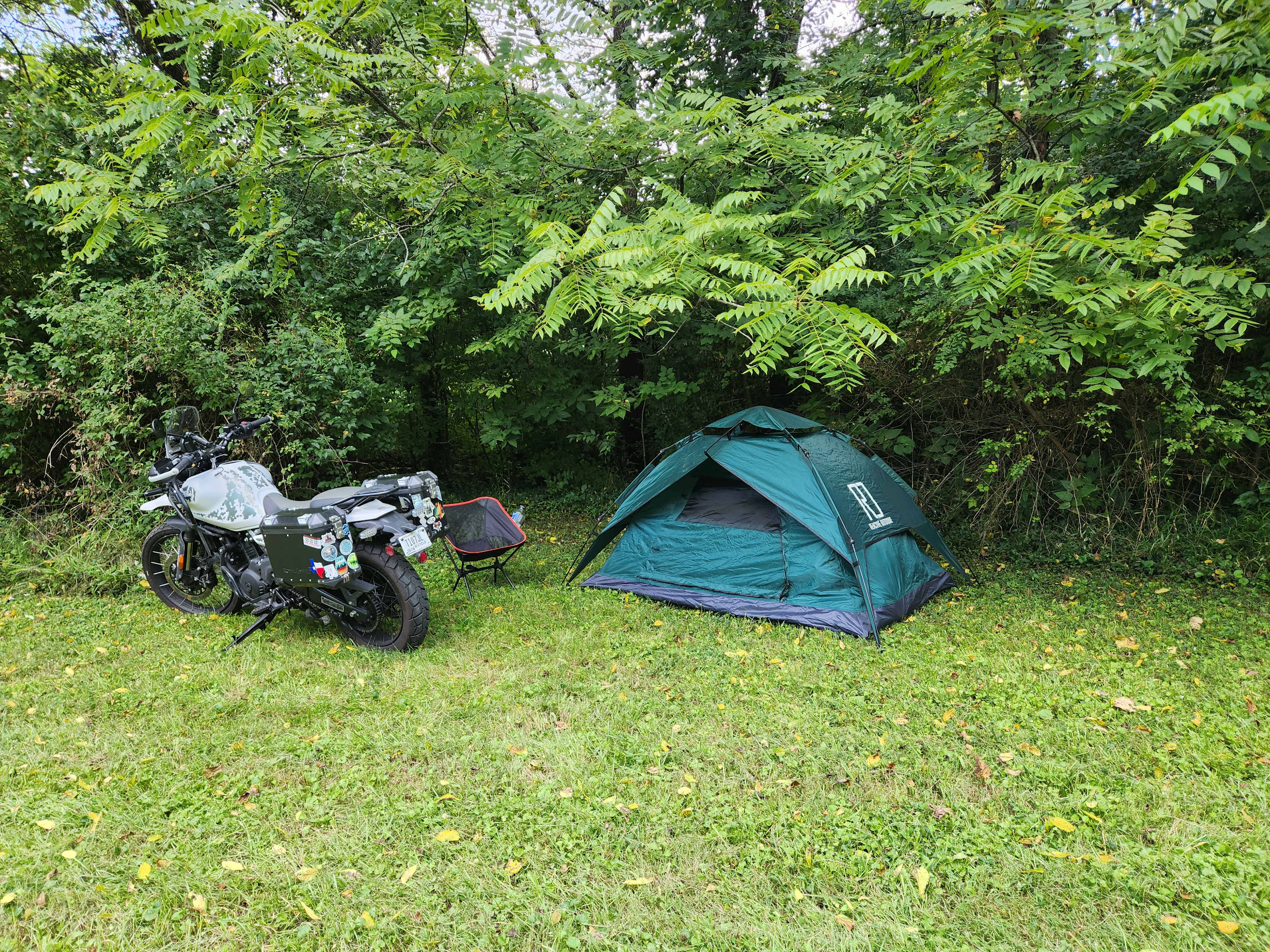 Picture of the site