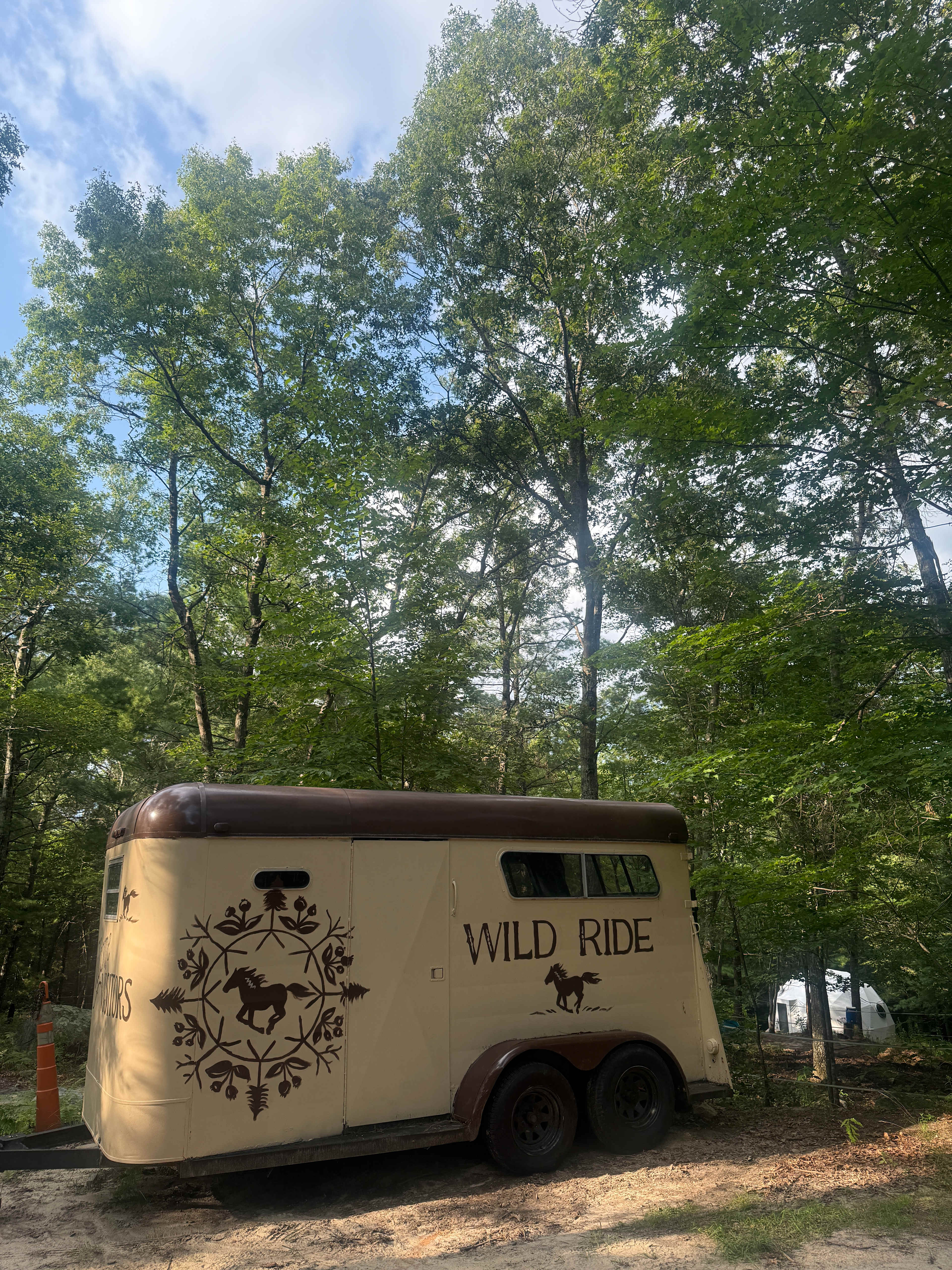 Glamping with the Wild Horses