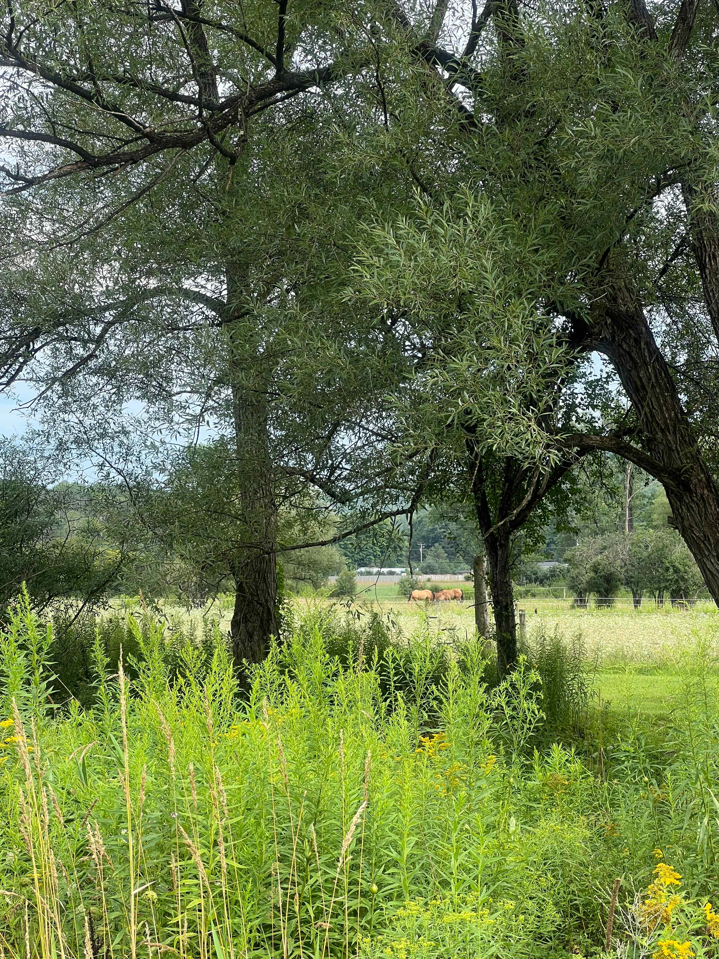 Tempest Ranch camp