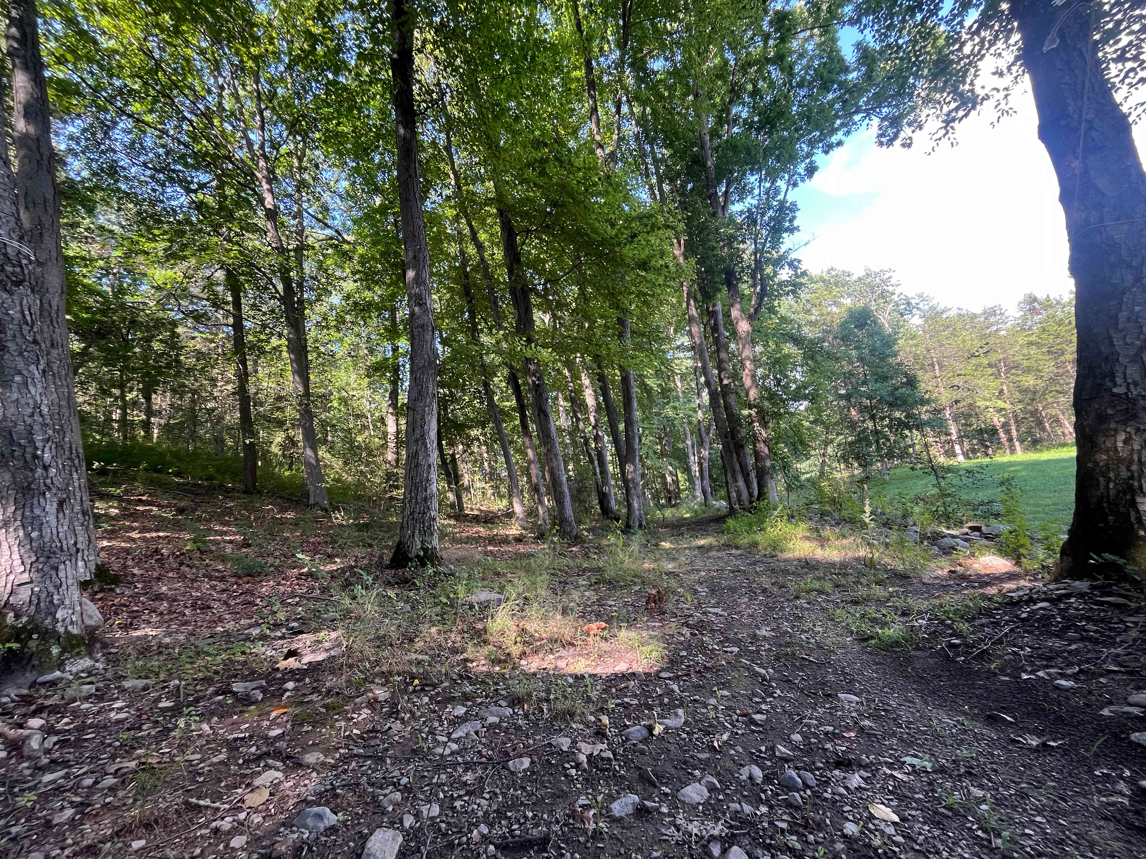Trail view 