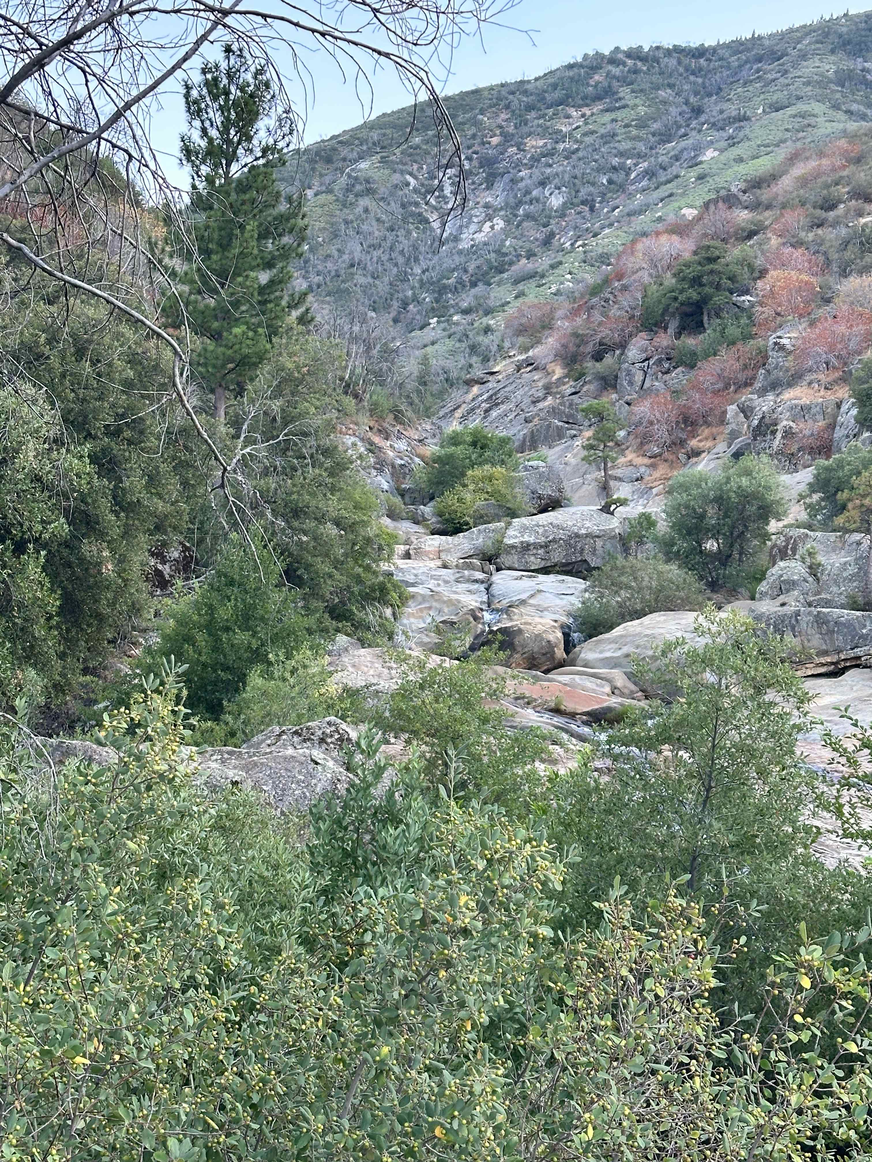Kings Canyon Campground