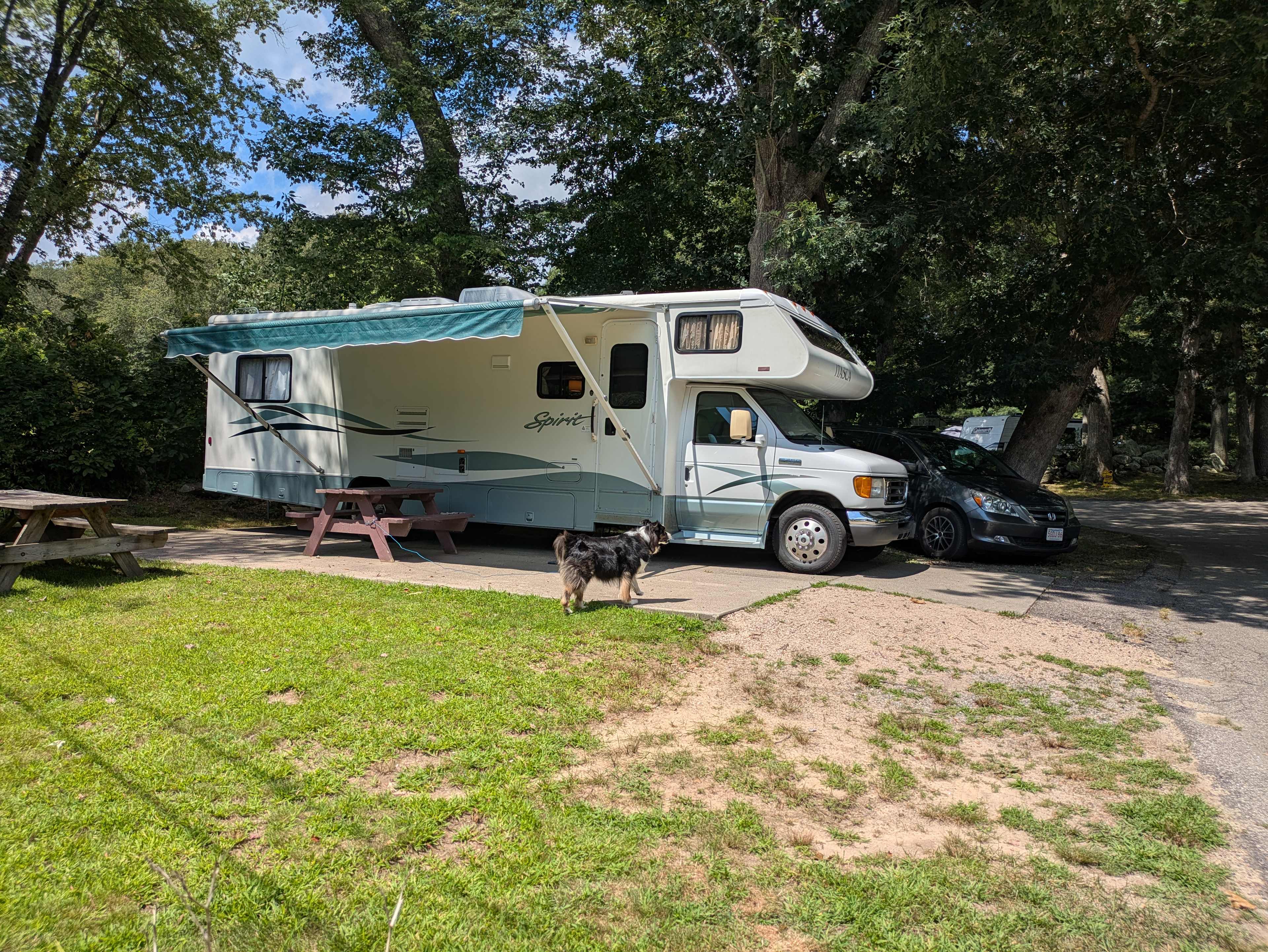 Site 10