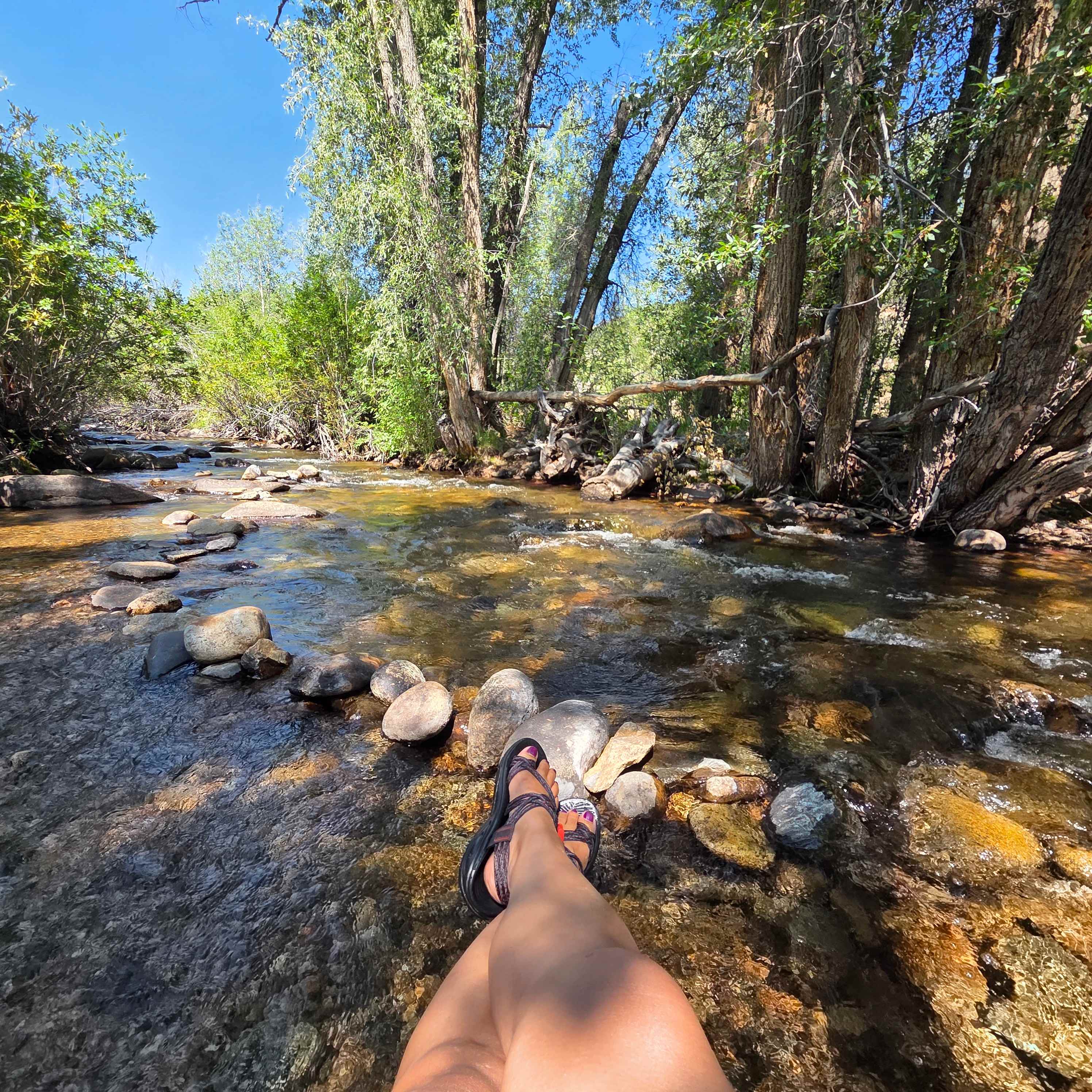 Monarch Spur RV Park and Campground