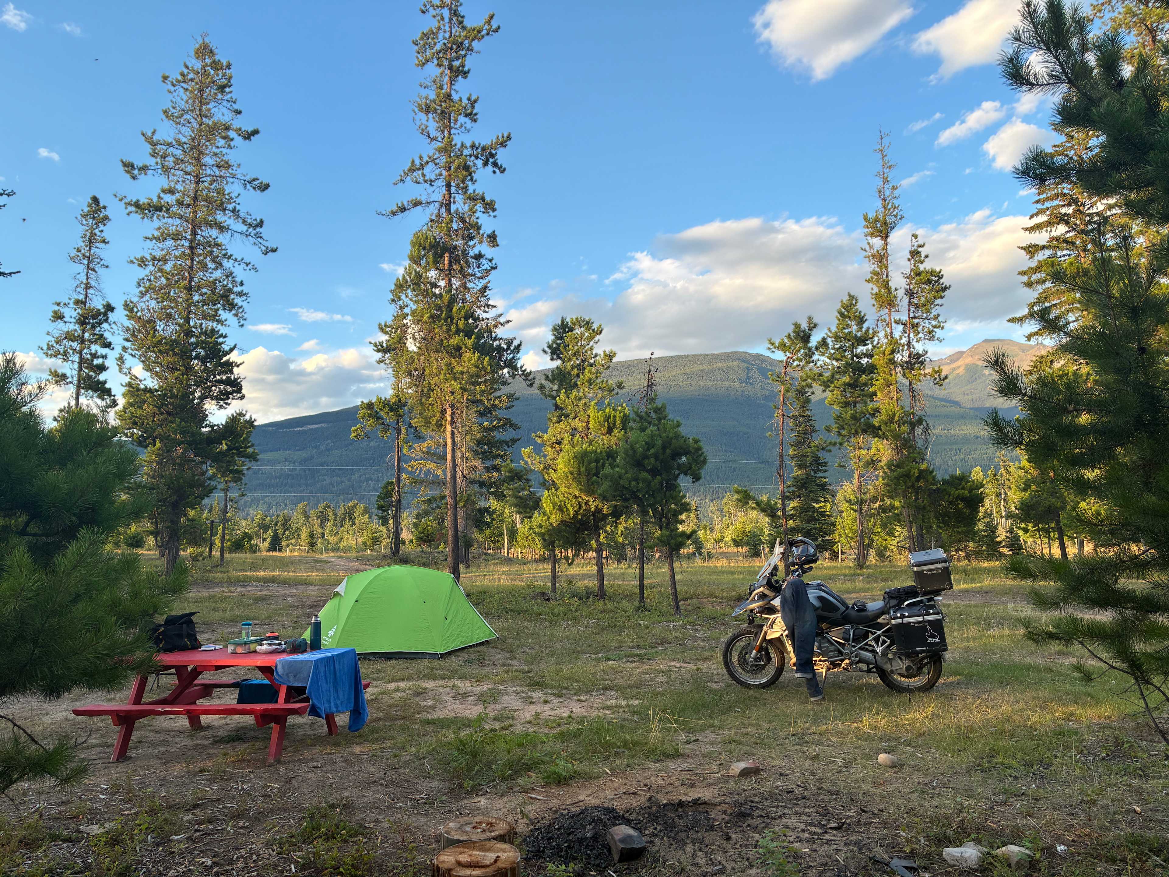 Fuzzy Buddy Ranch