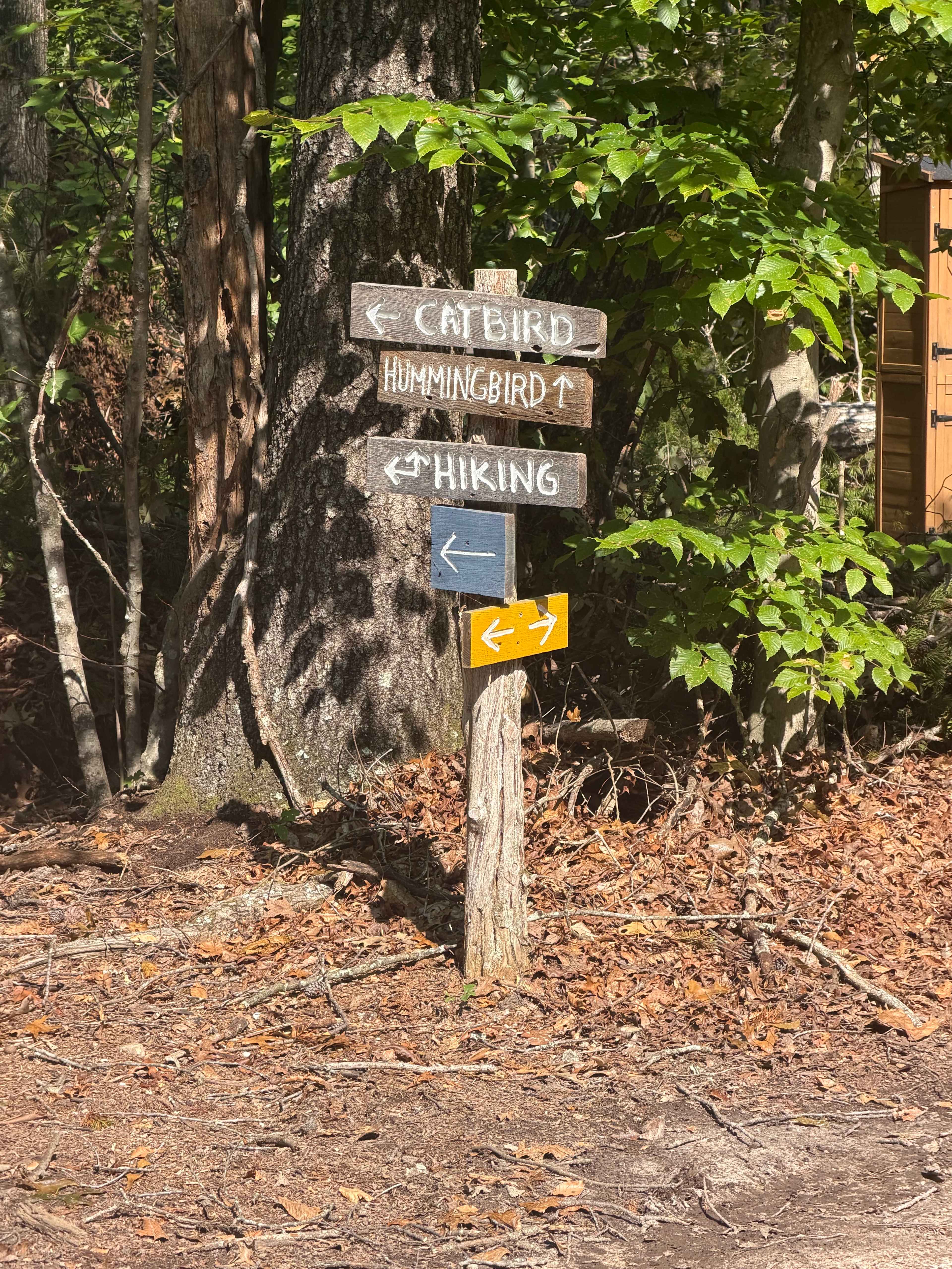 Phantom Hill Forest Retreats