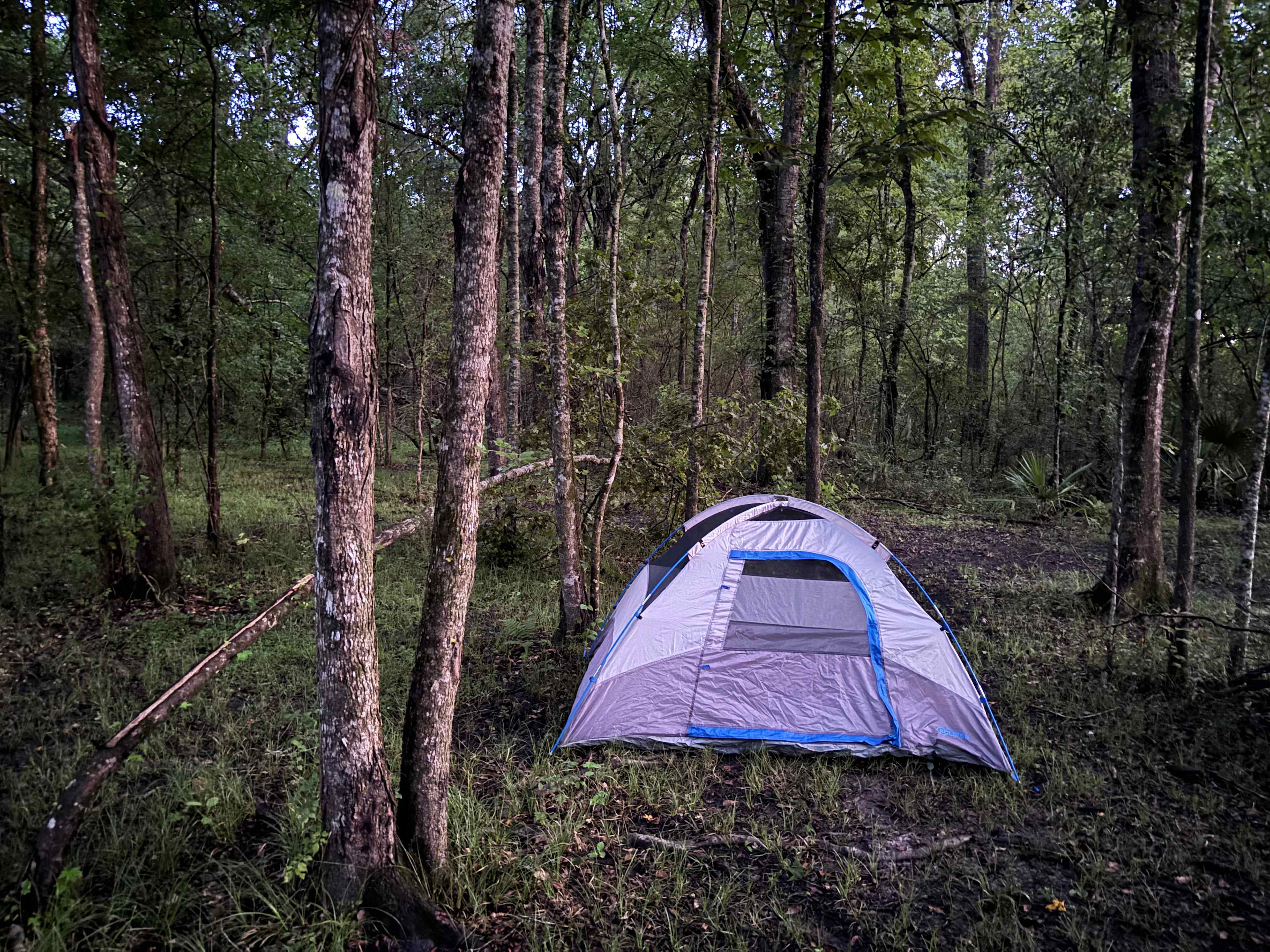 Ligneous Countryside Tent Camping