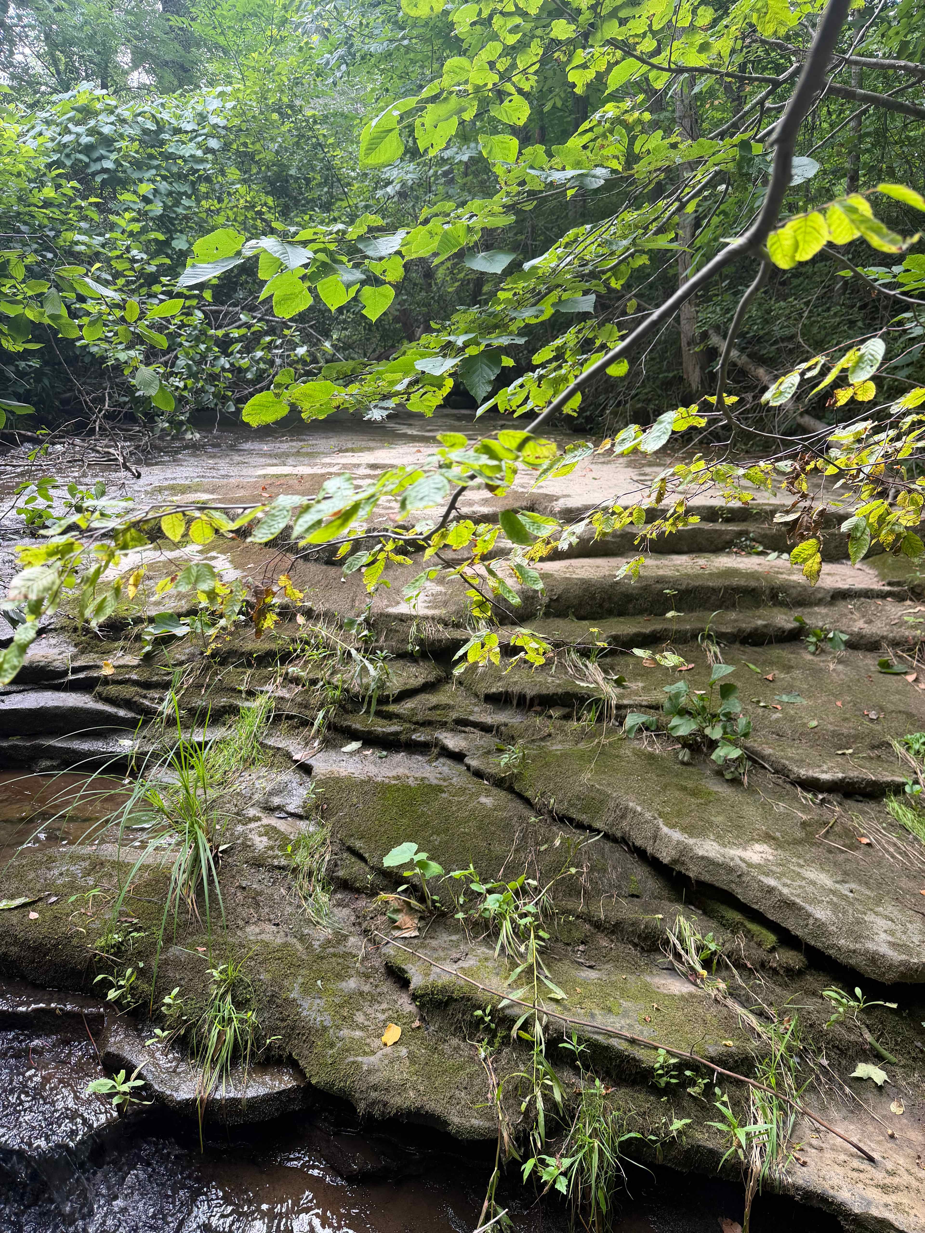 River Hills Above the Allegheny