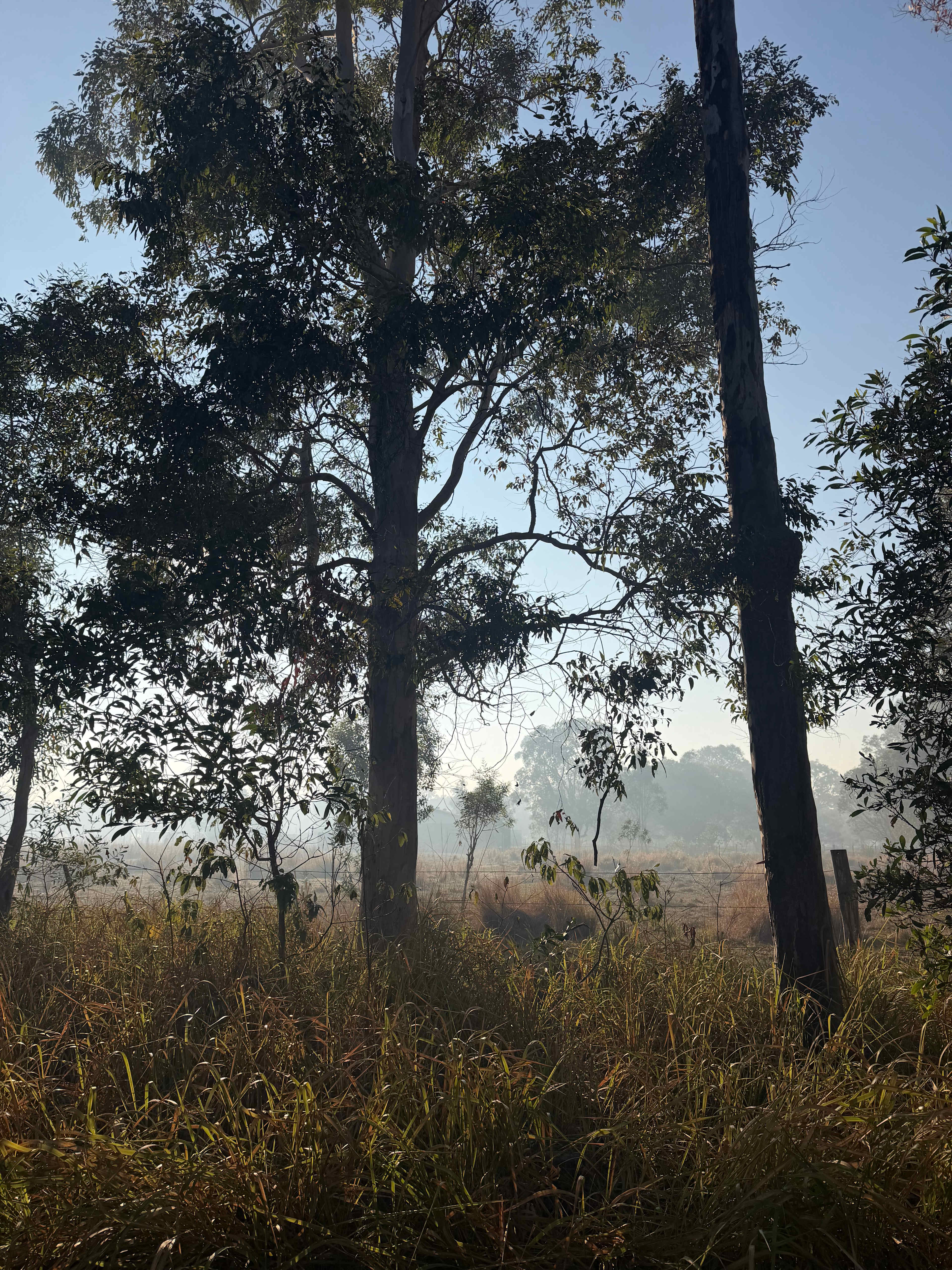 Scenic at any time of the day 