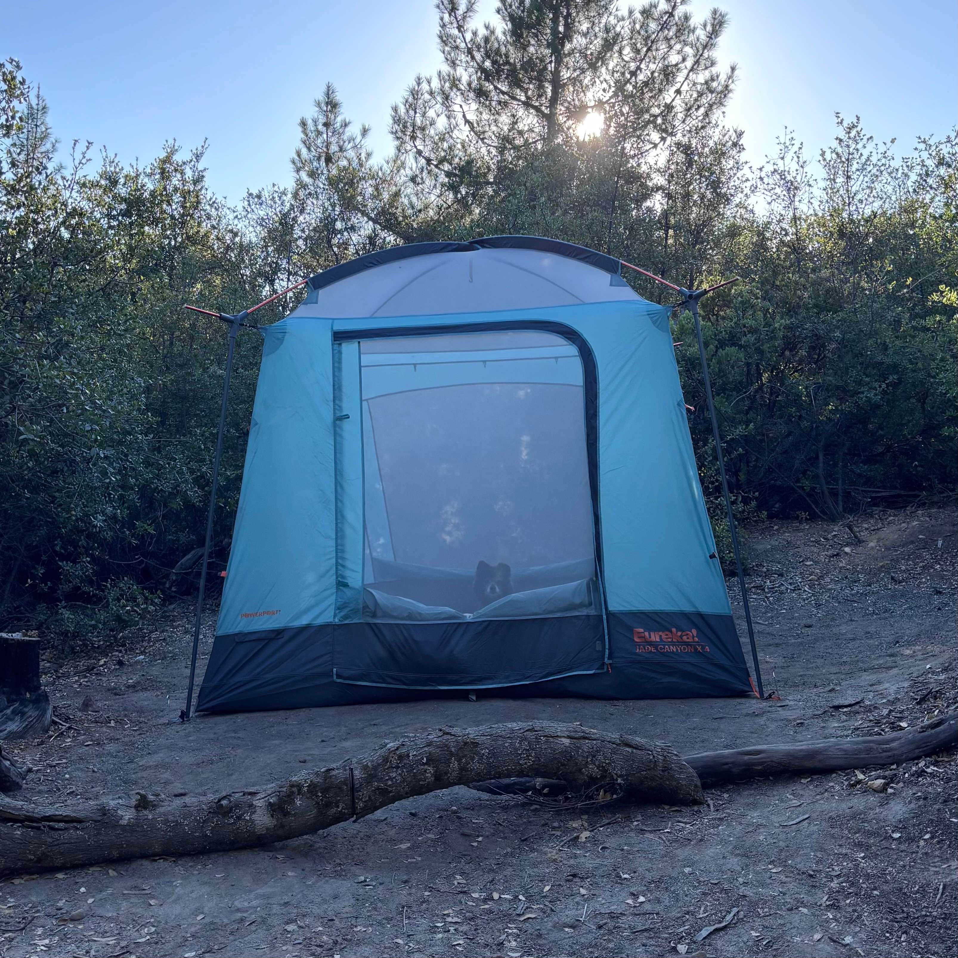 dedicated spot that fits decent-sized tent
