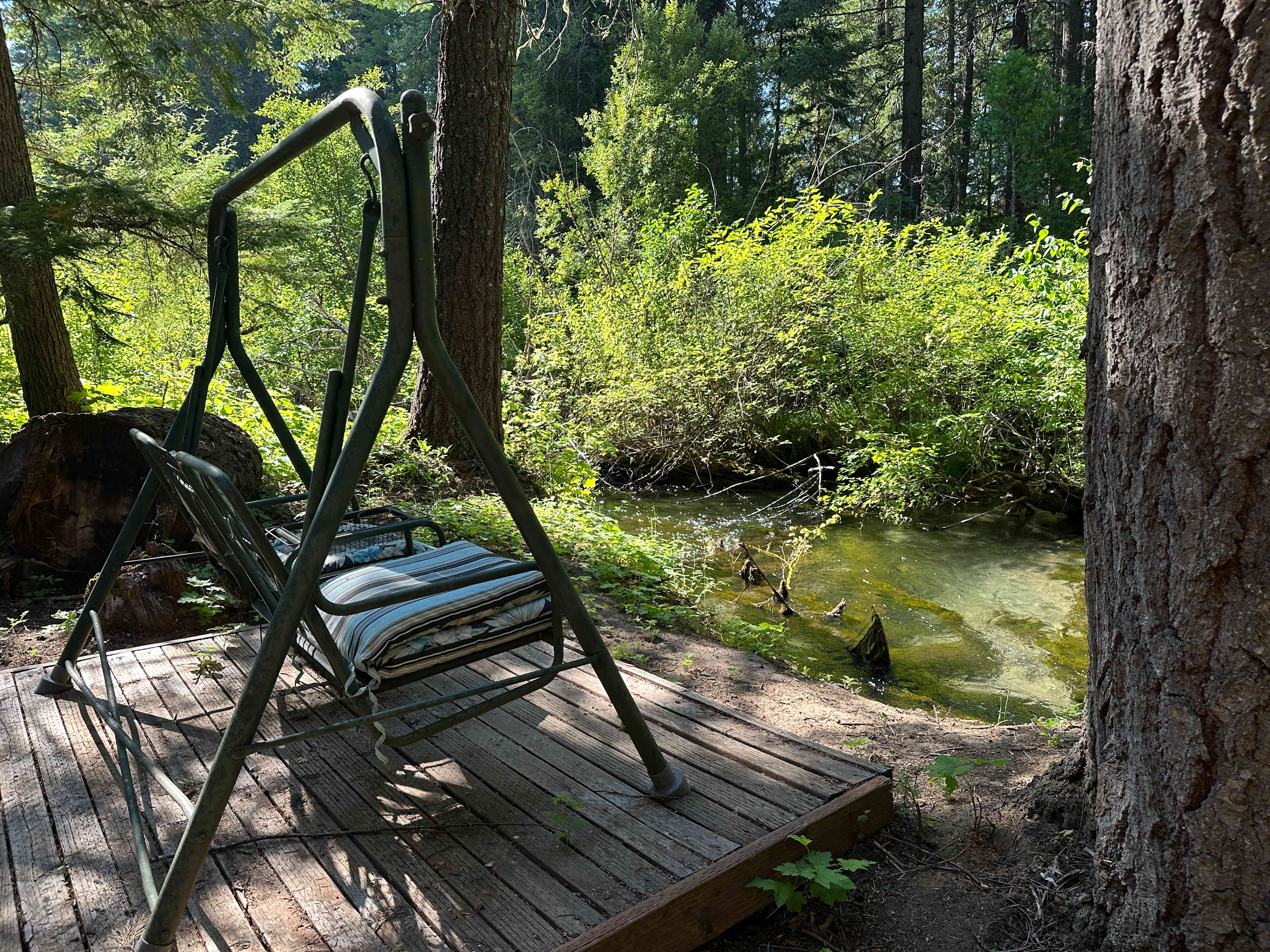 Serene site close by the stream. 