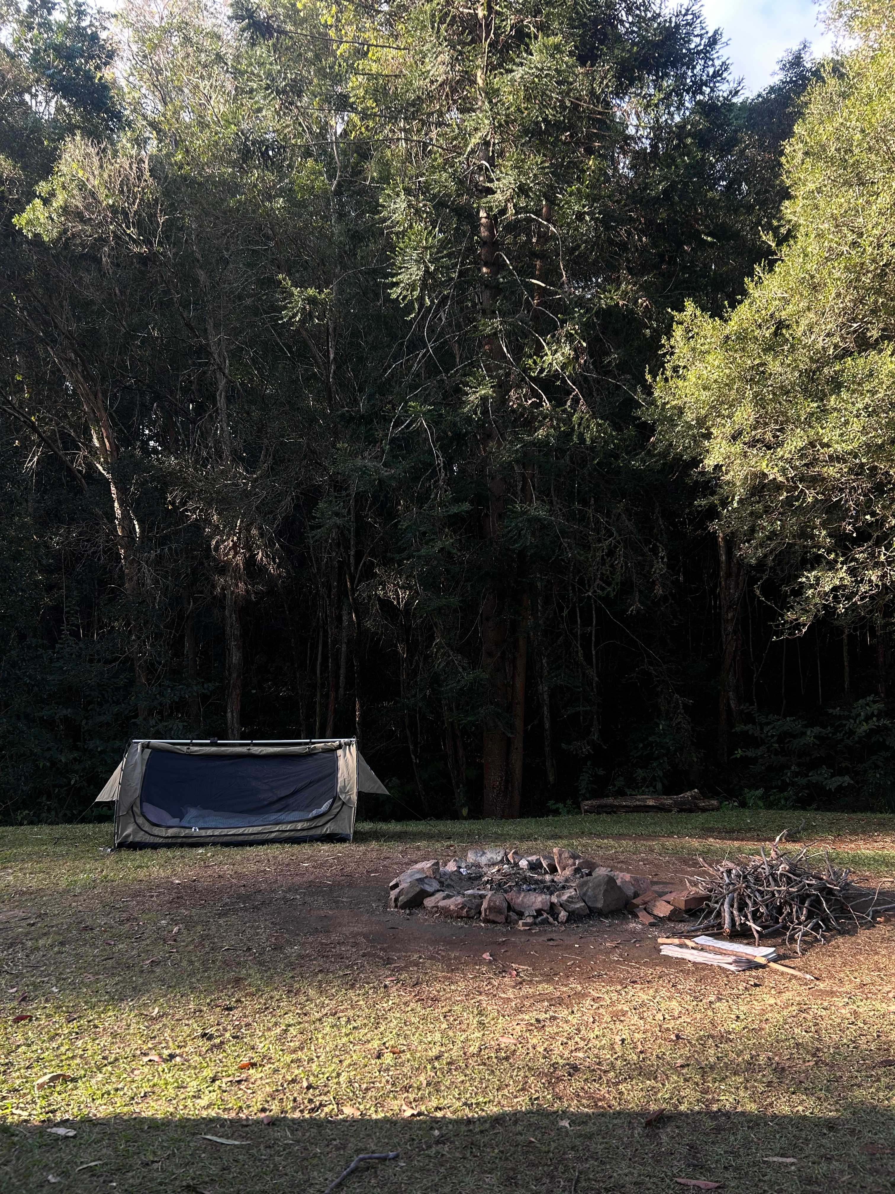 Bunya Grove
