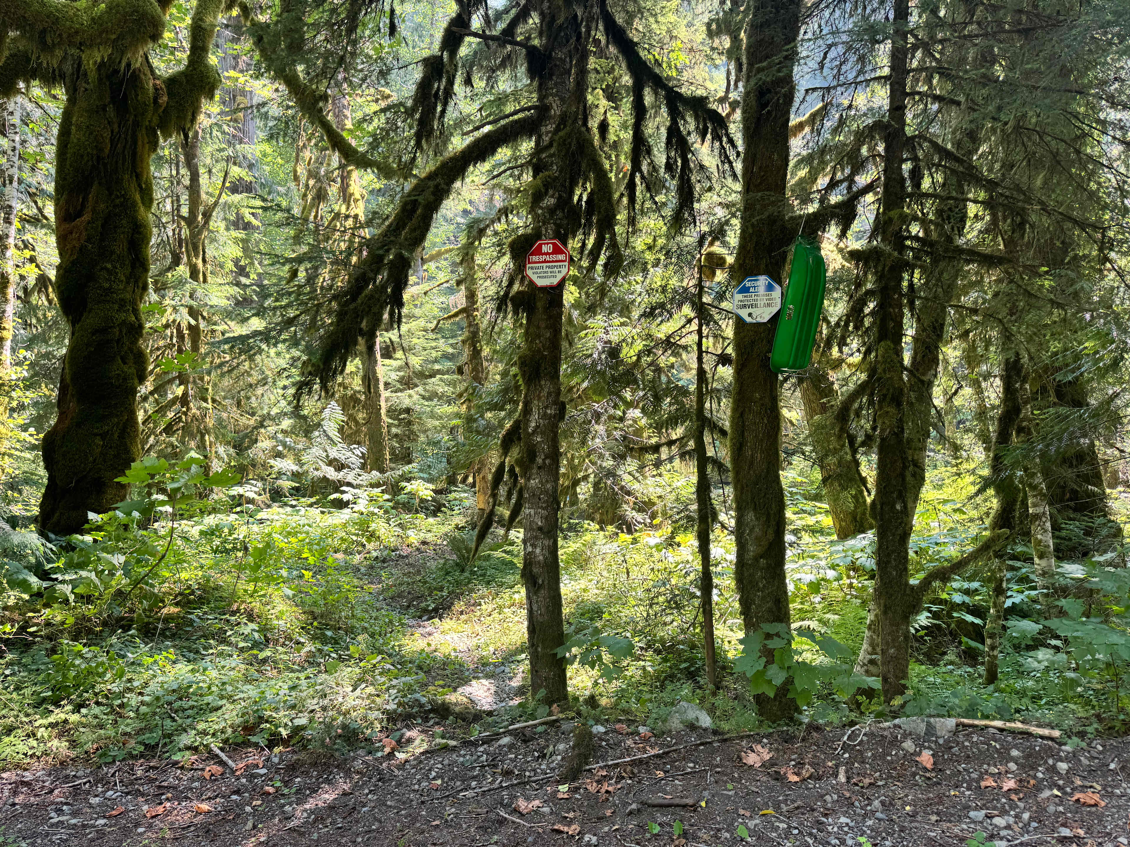 Picture of the site