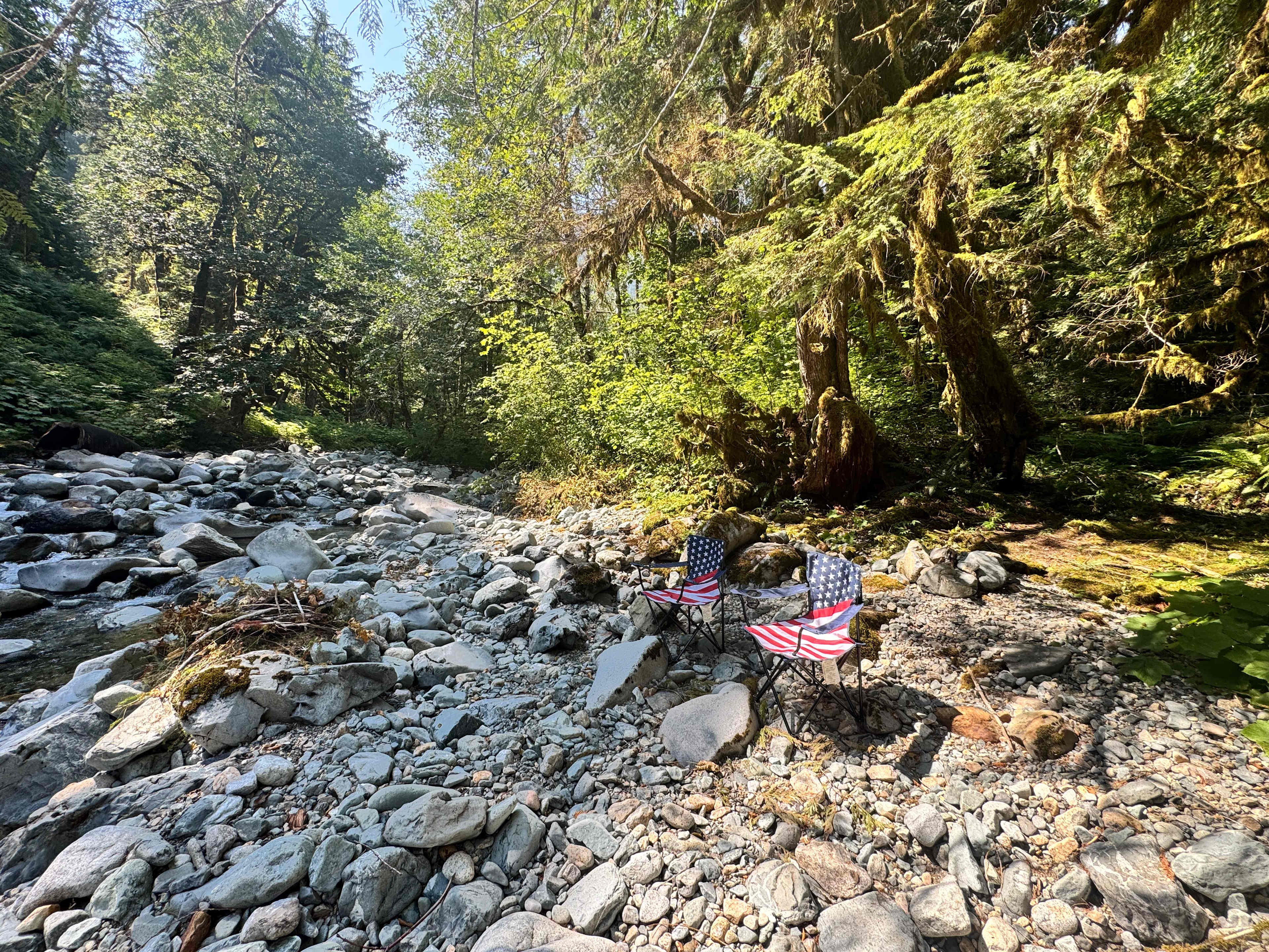 Picture of the site