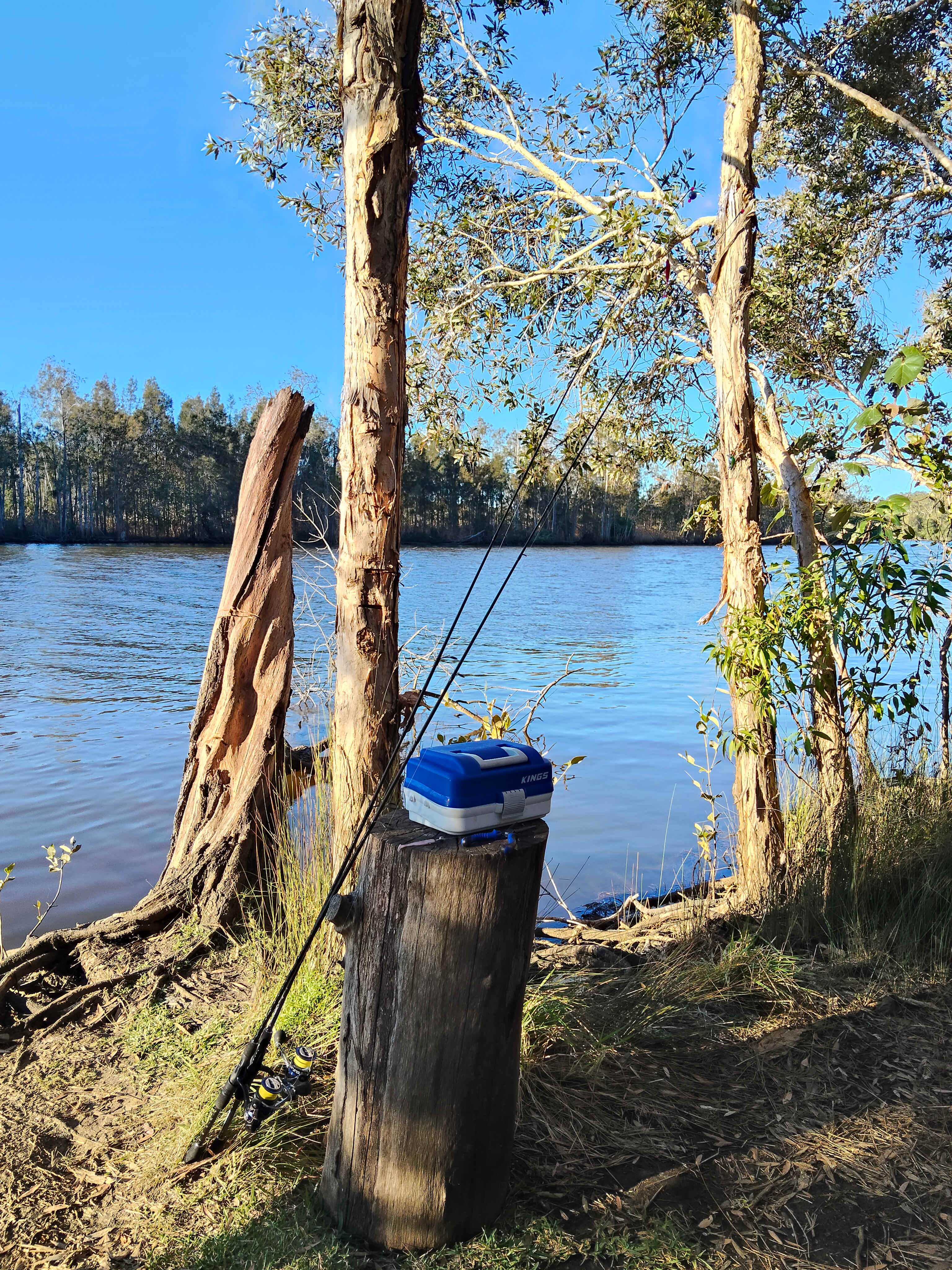 Noosa River Camping at Cooroibah