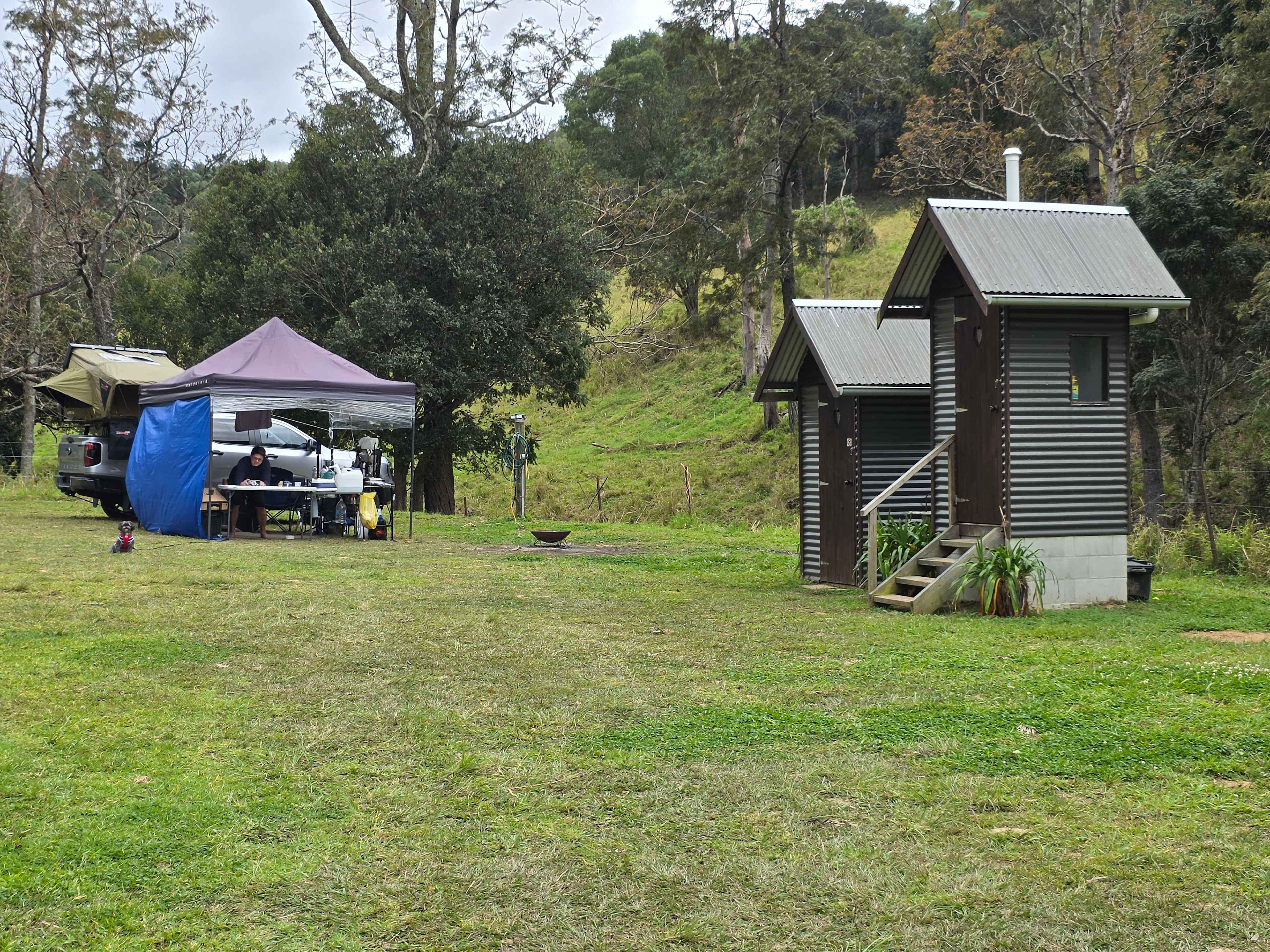McKenzie Creek Campsite