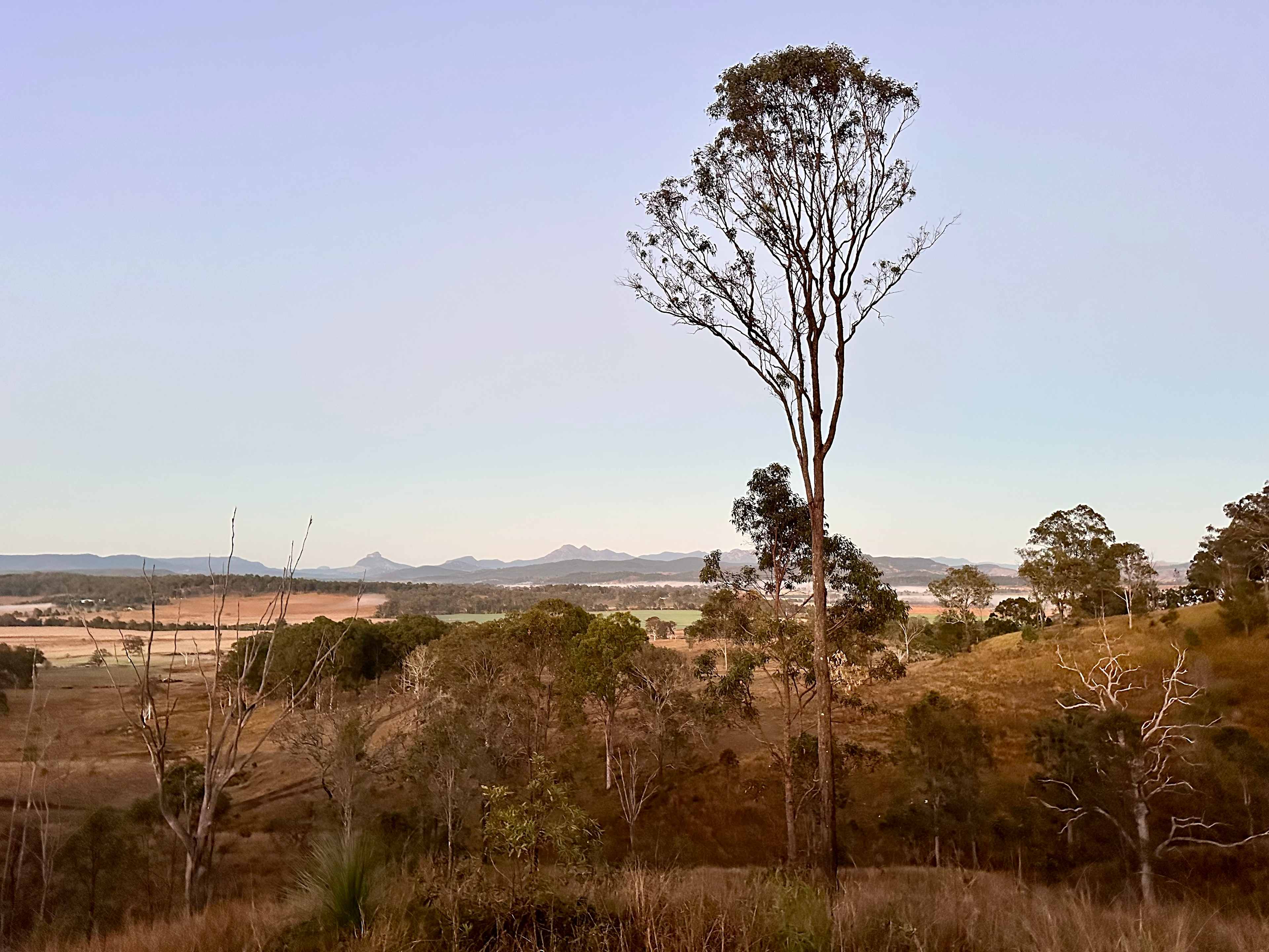 Larapinta