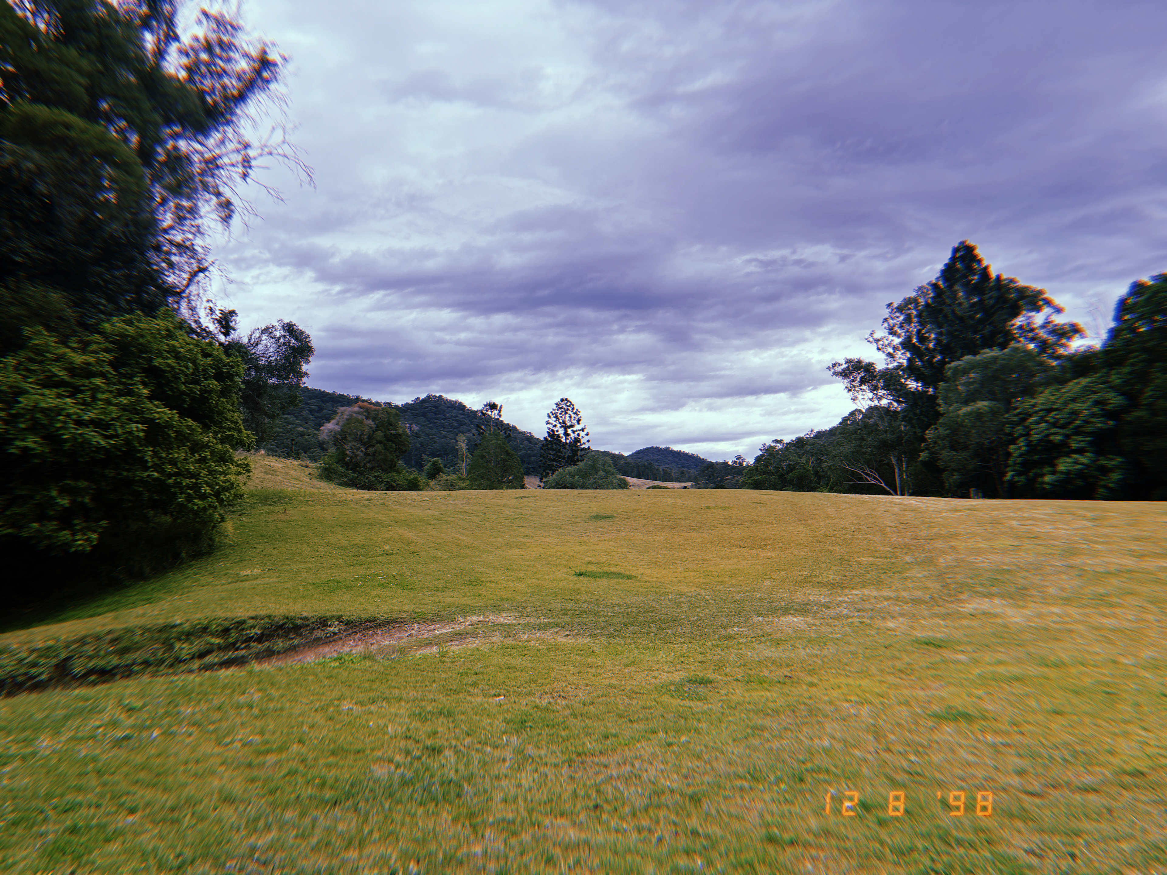 Bindarah Downs
