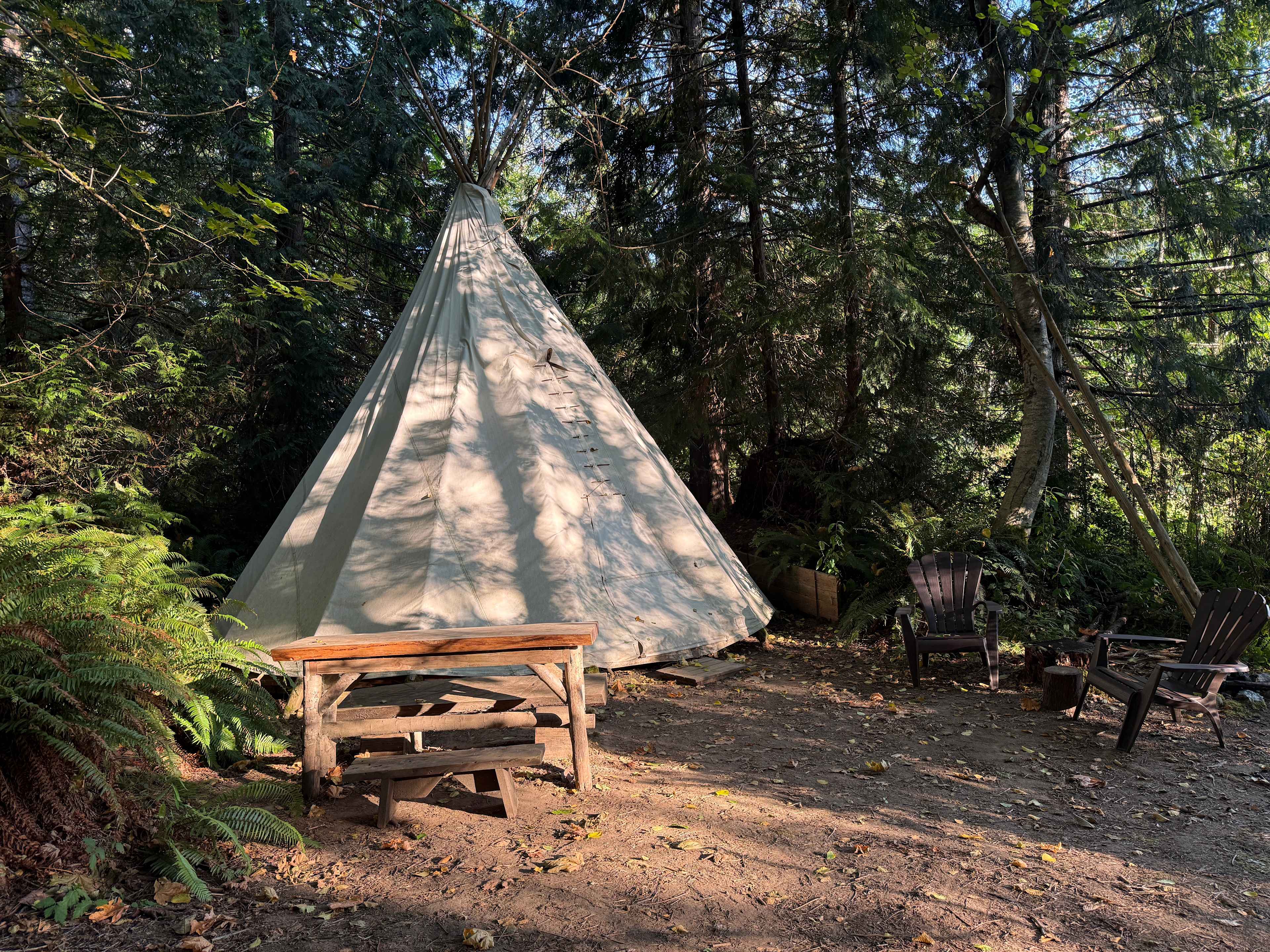 Tipi - morning light
