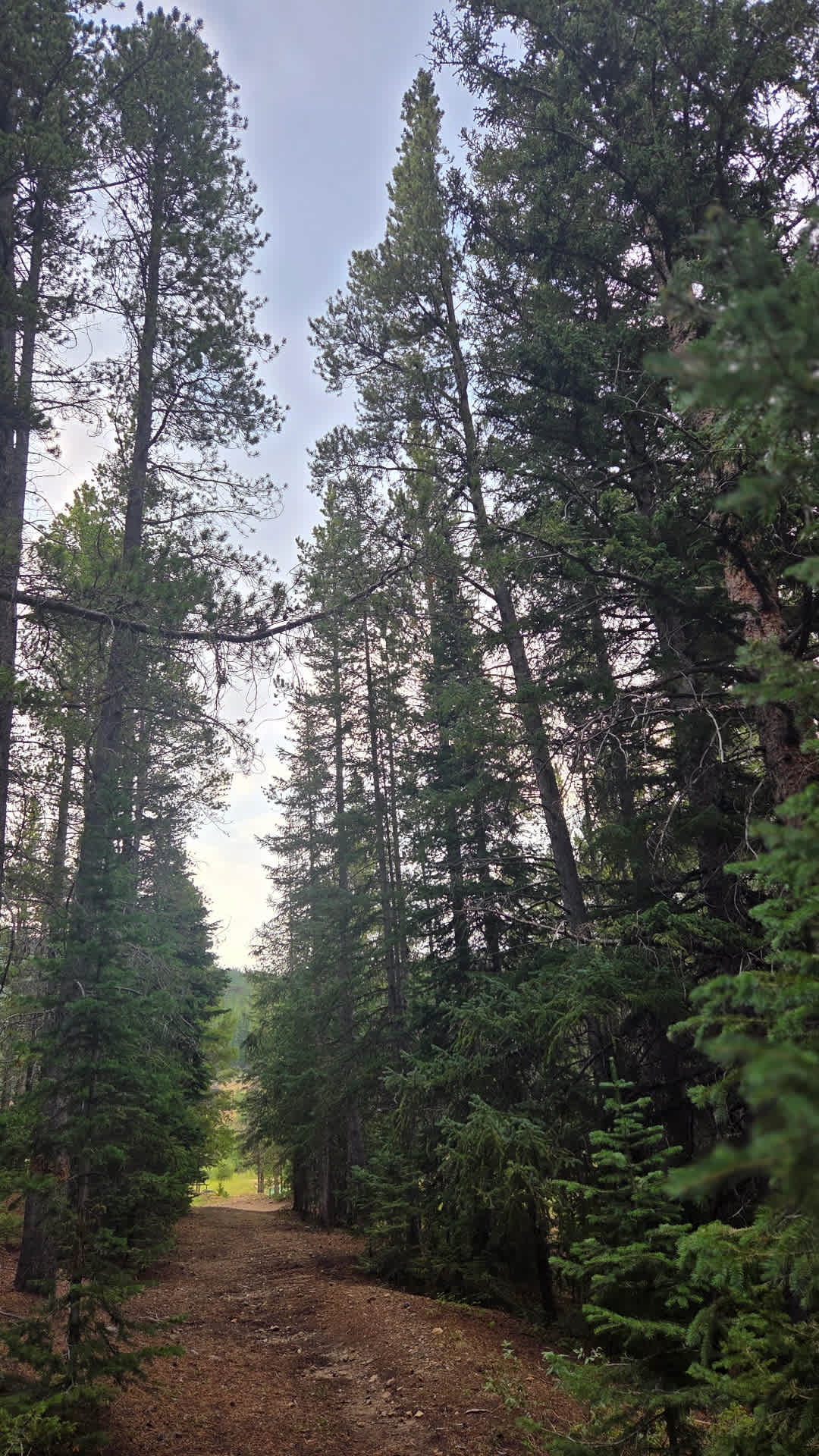 Wideawake Ranch and Waterhouse