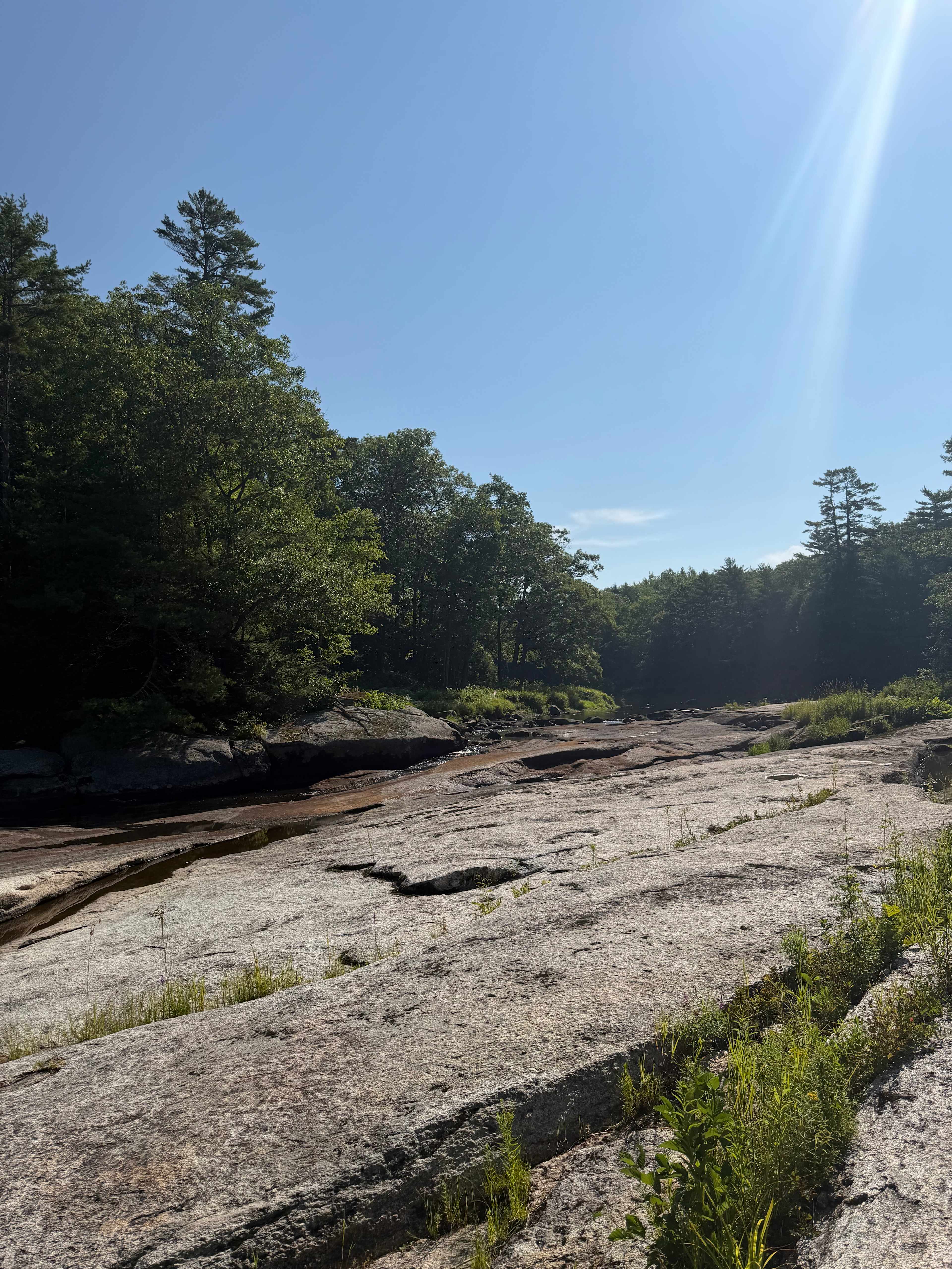 The river 
