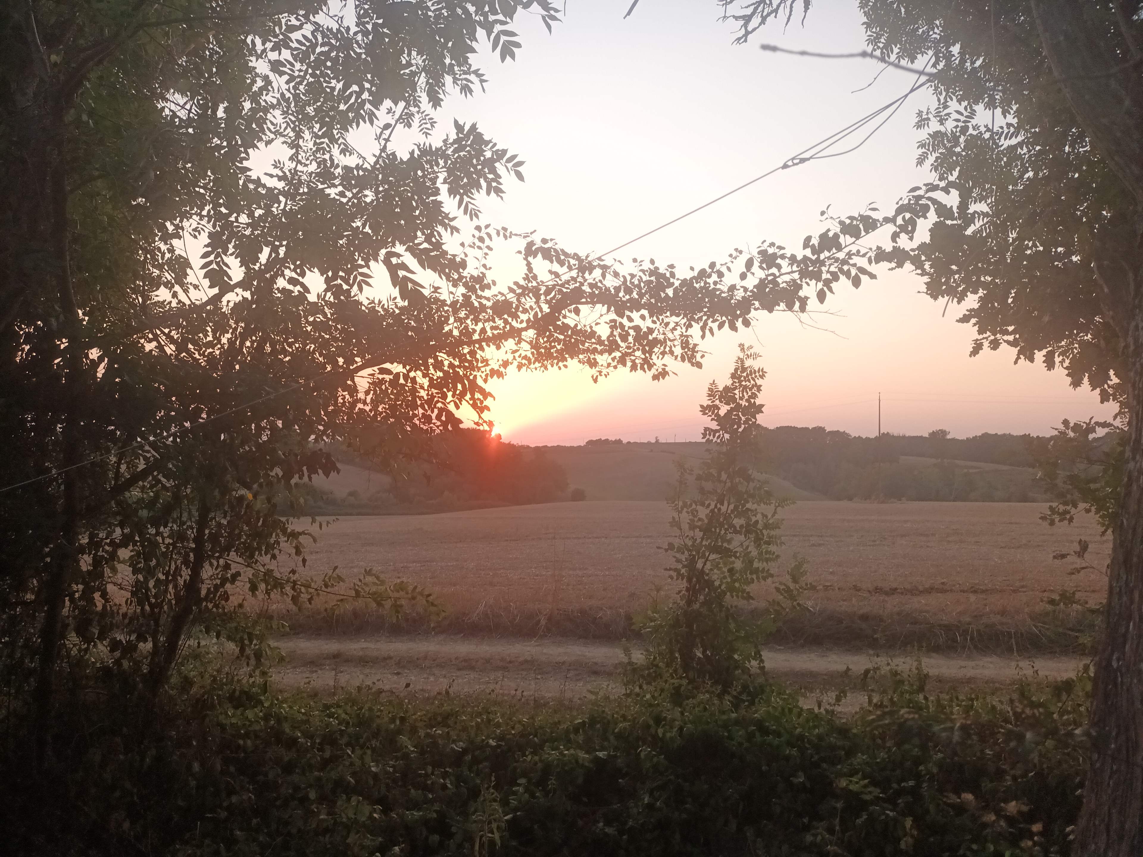 Camping d'Artagnan