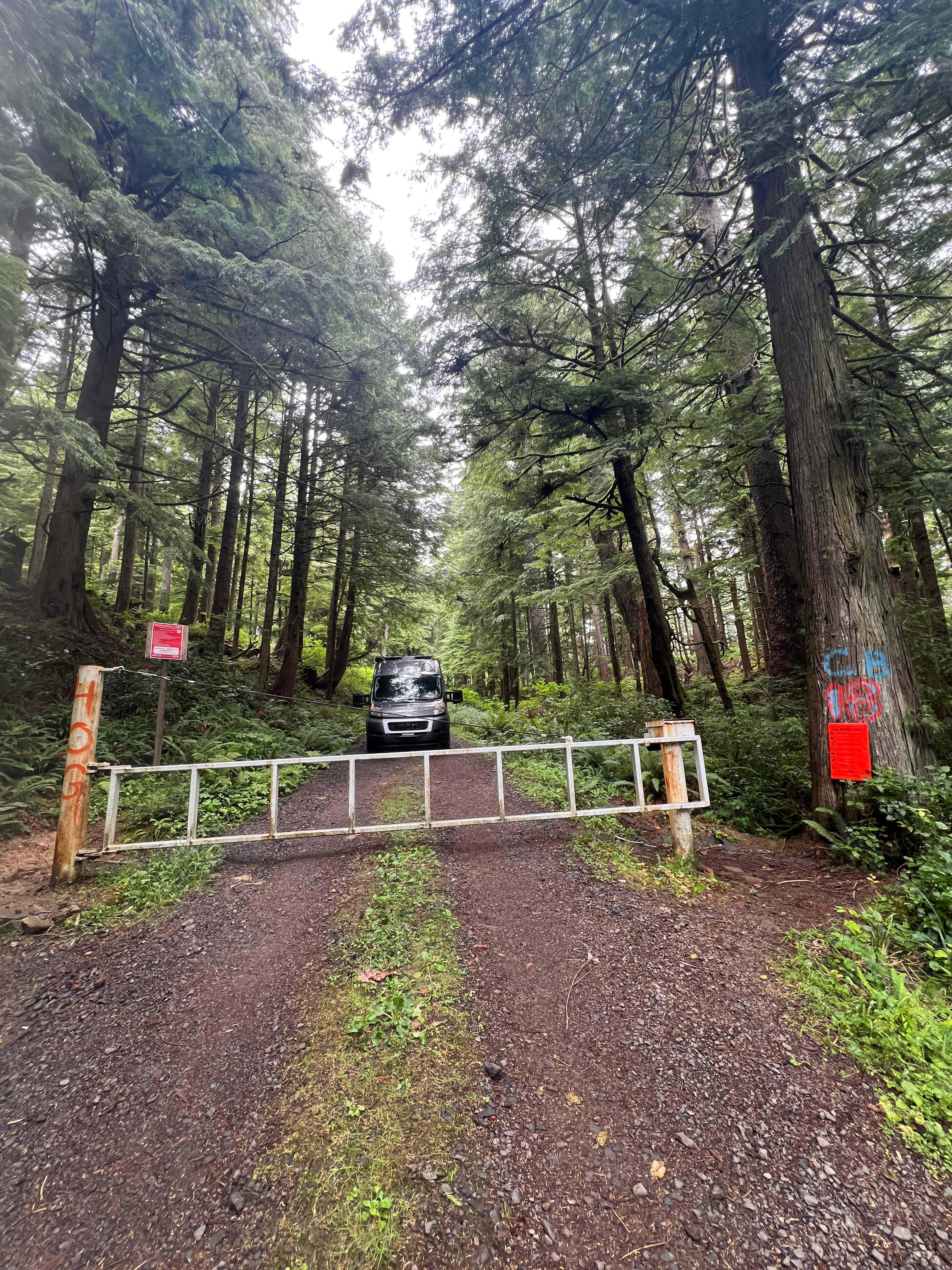 Picture of the site